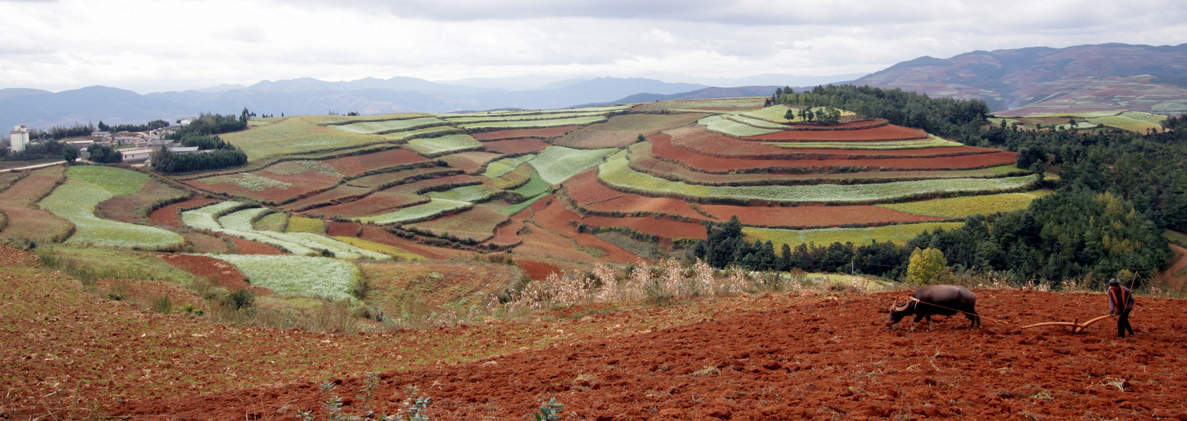 Red earth - Yunnan