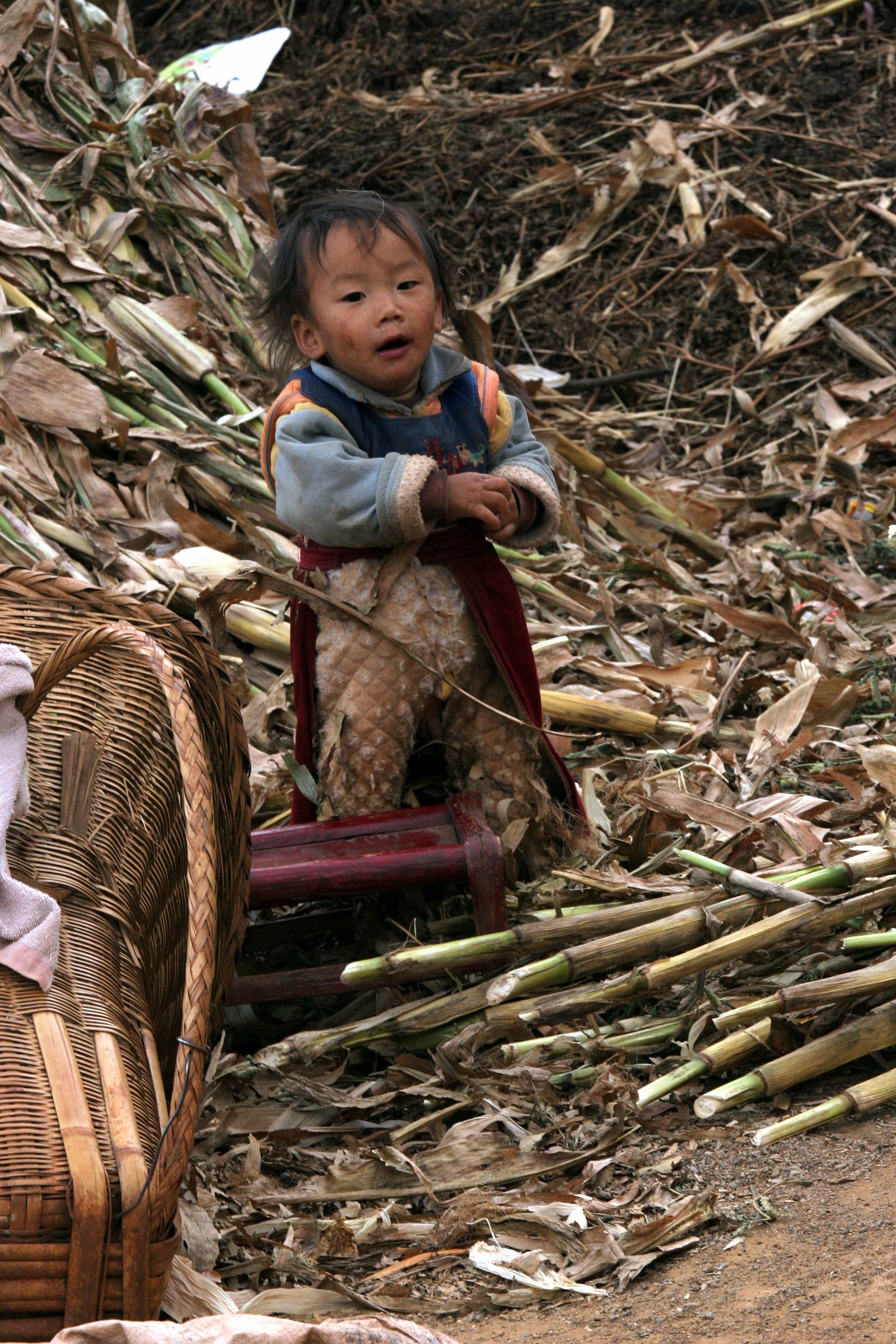 Terre Rosse - Yunnan