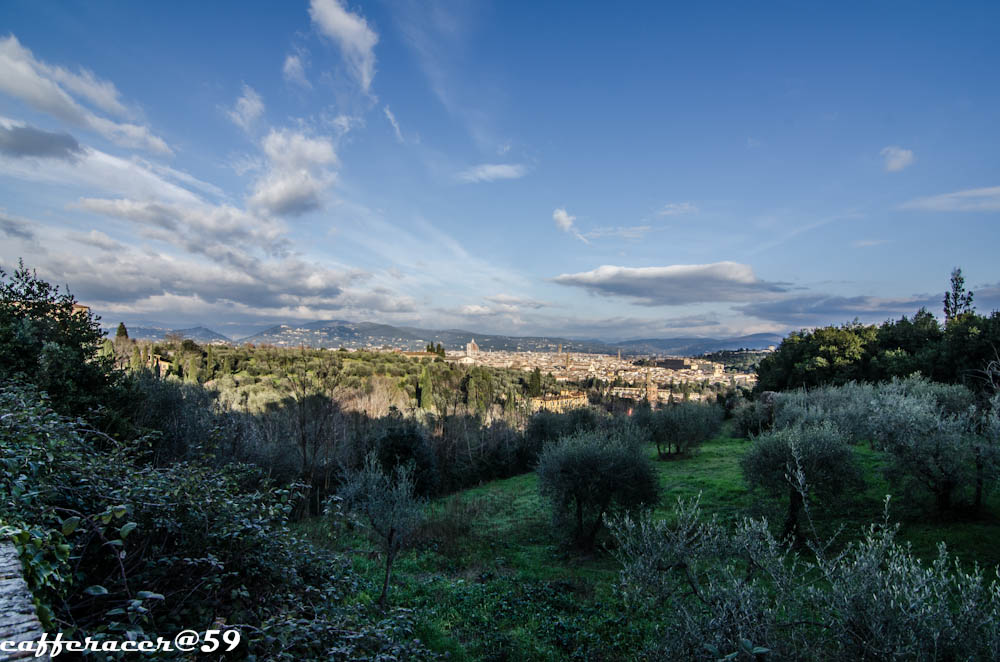 Firenze  dal  Belvedere