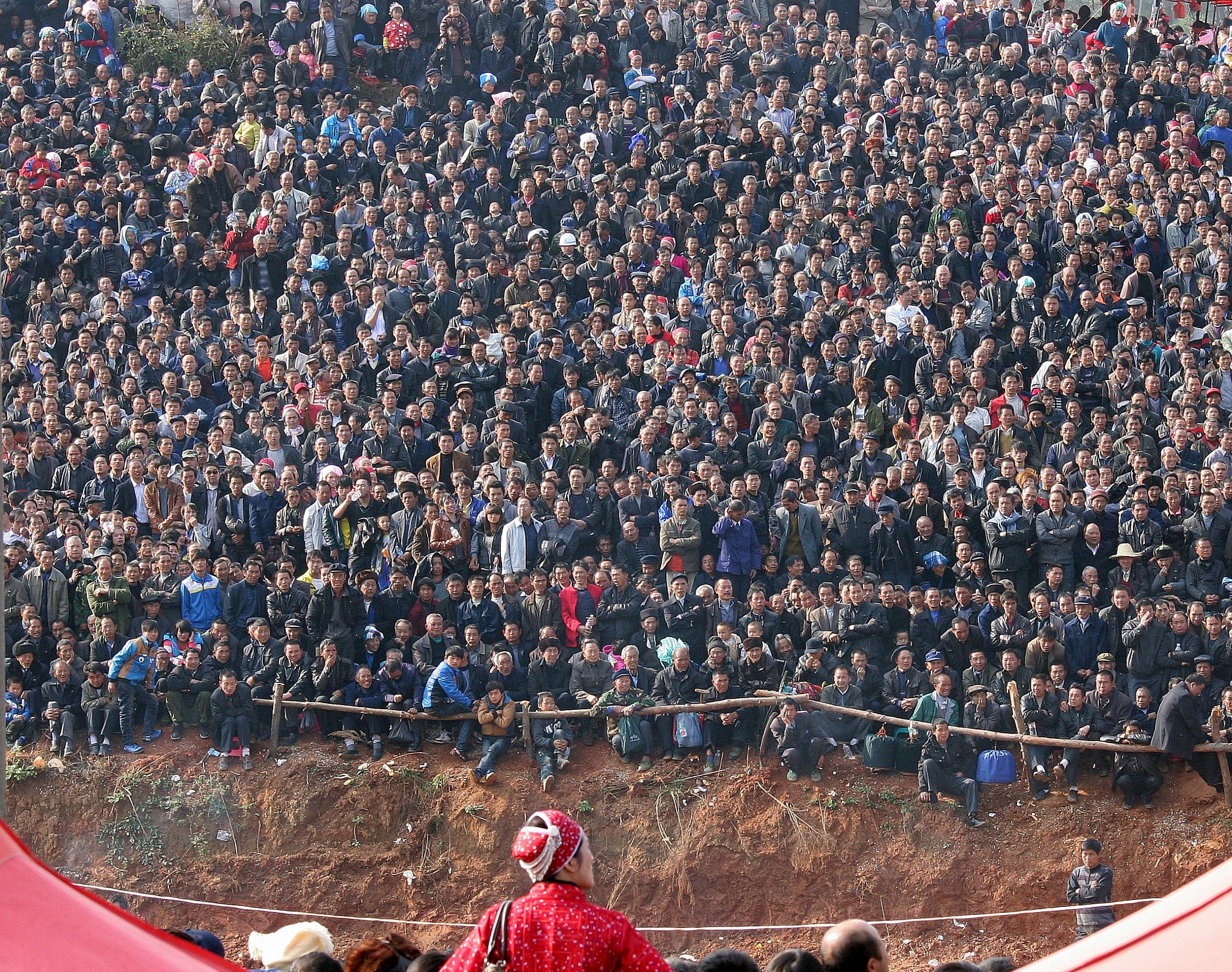 Other animal-fighting Yunnan