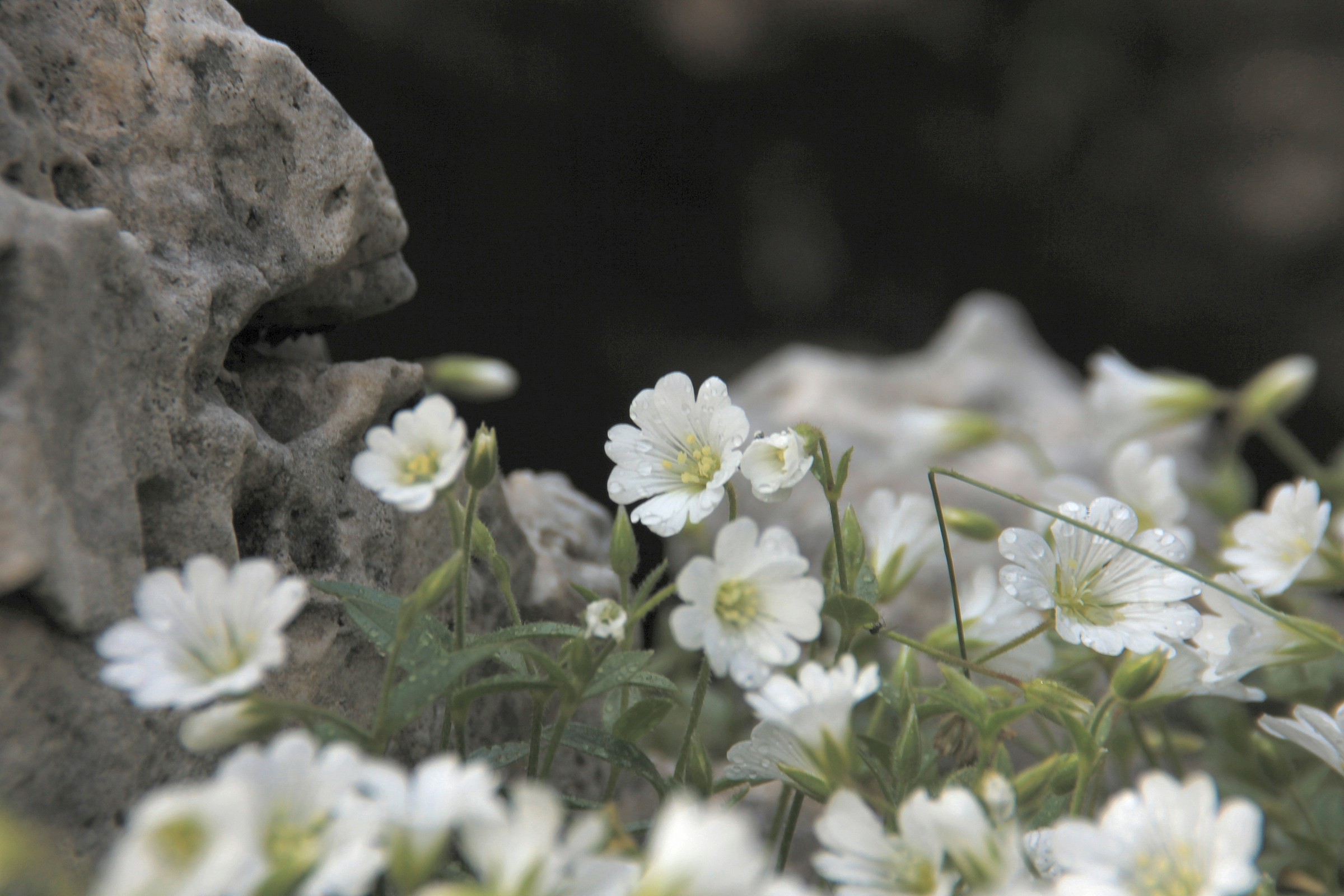 Bagnati dalla pioggia