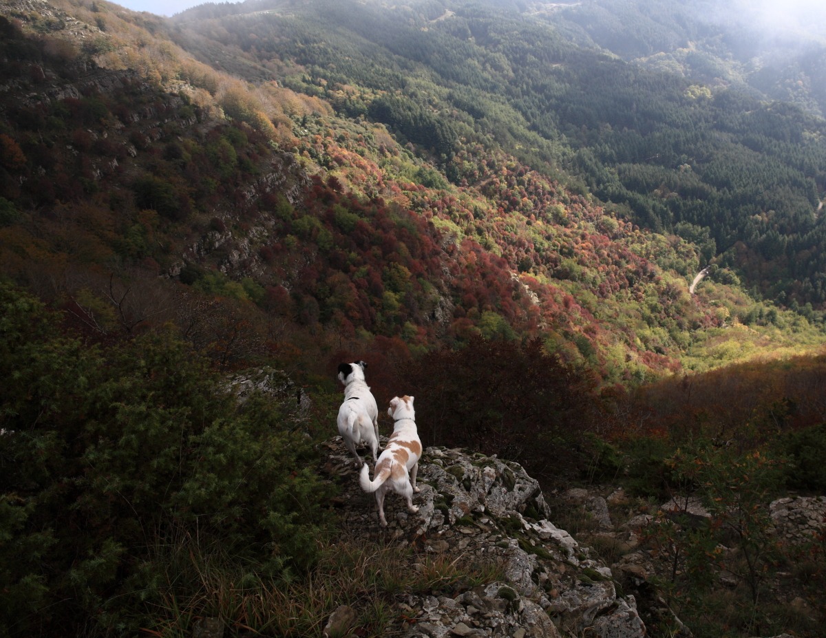 attentive to those two!