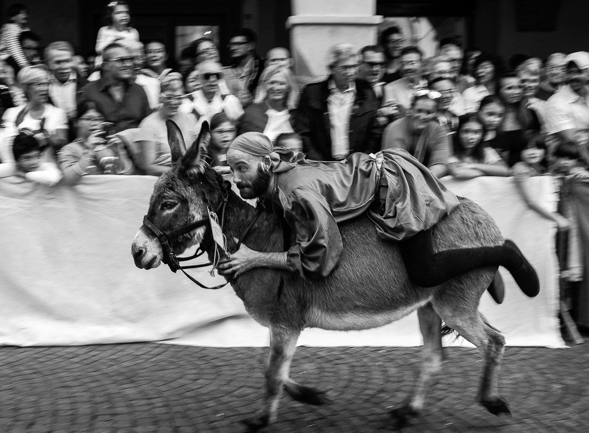 Even donkeys can fly