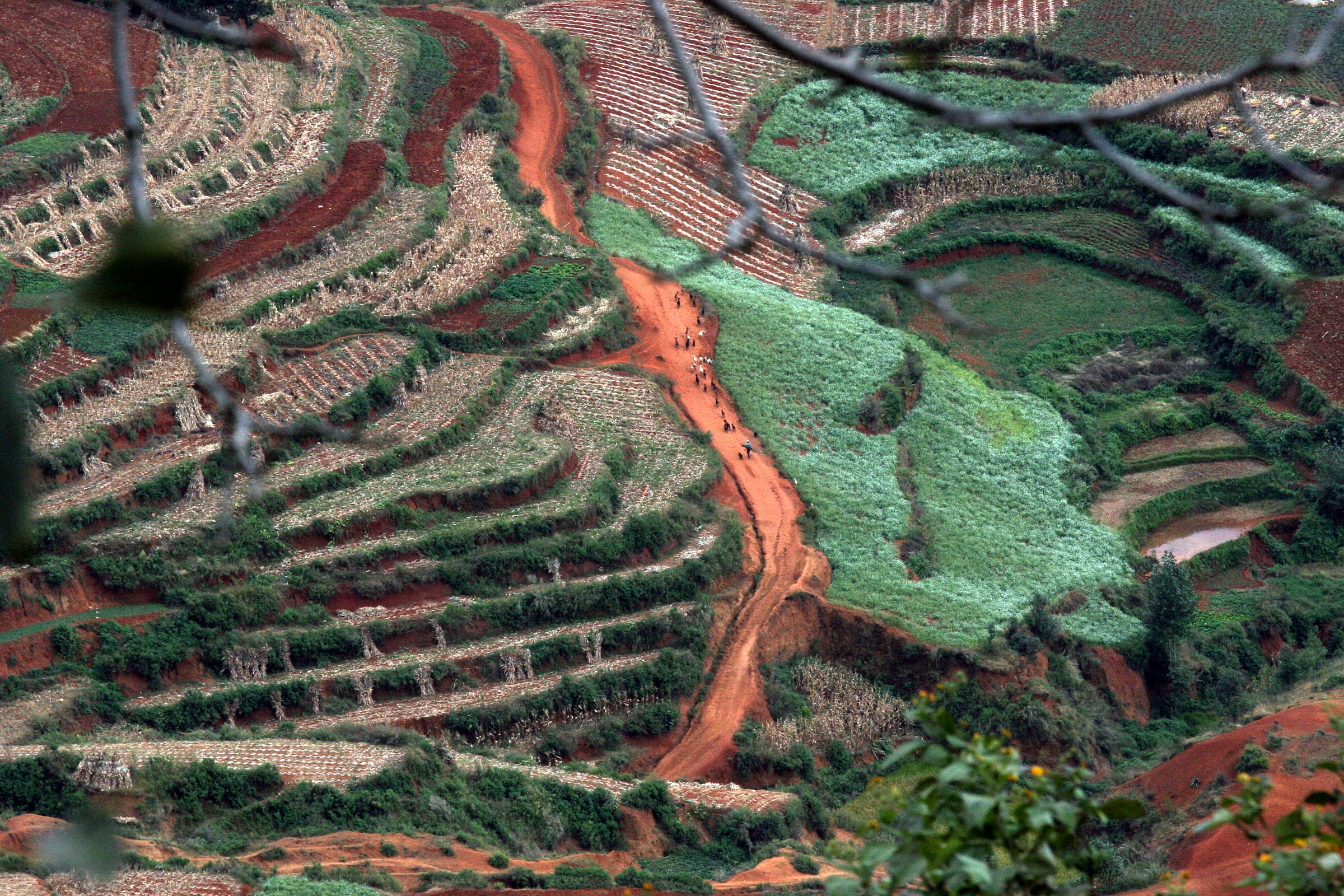 Red earth-Yunnan