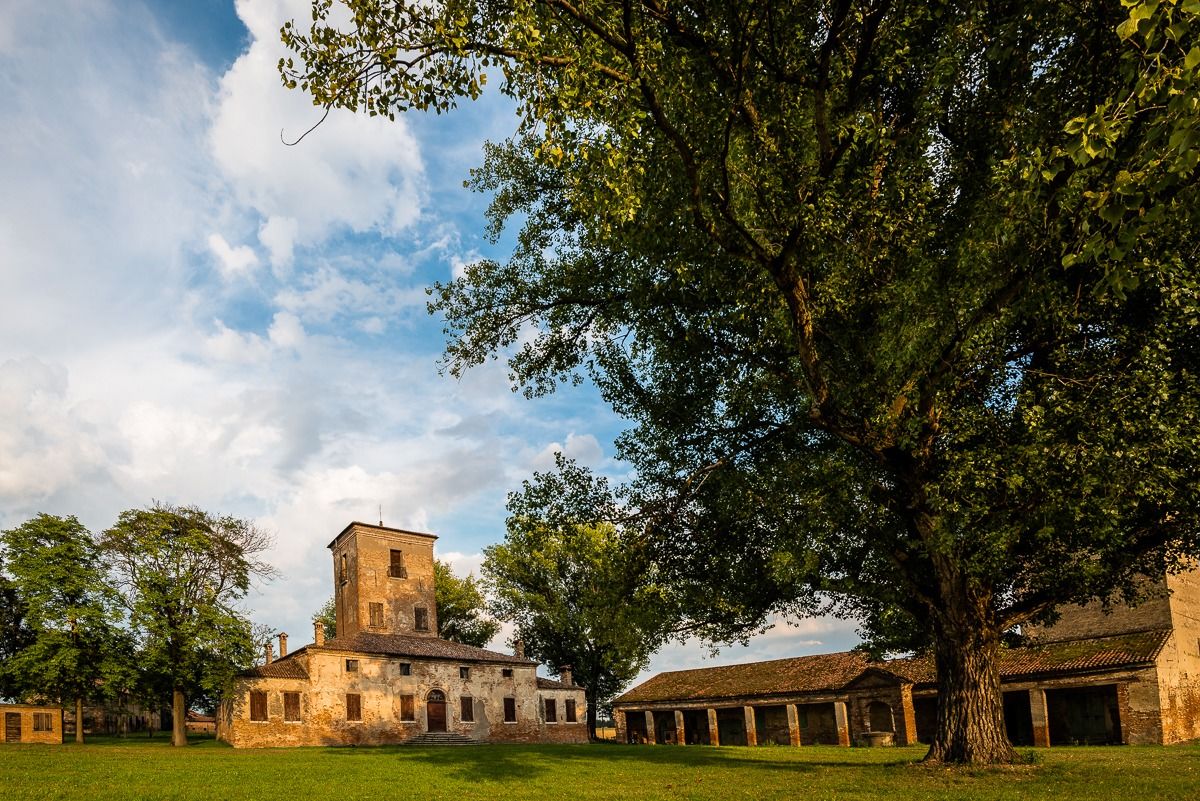 Casa Pepoli e il grande albero