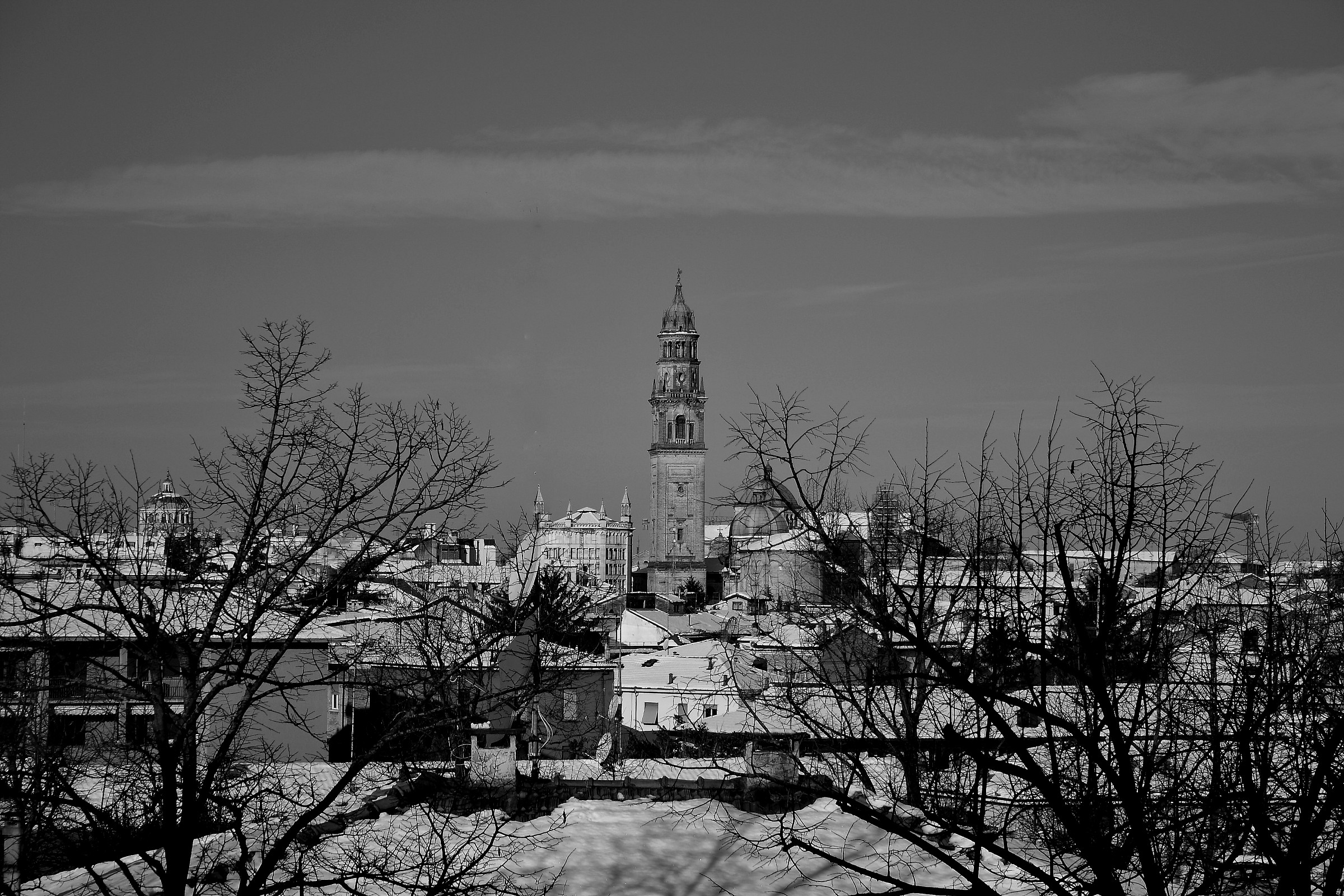parma b&w