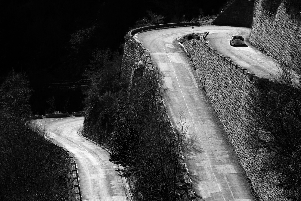 Rally Monte Carlo 2015