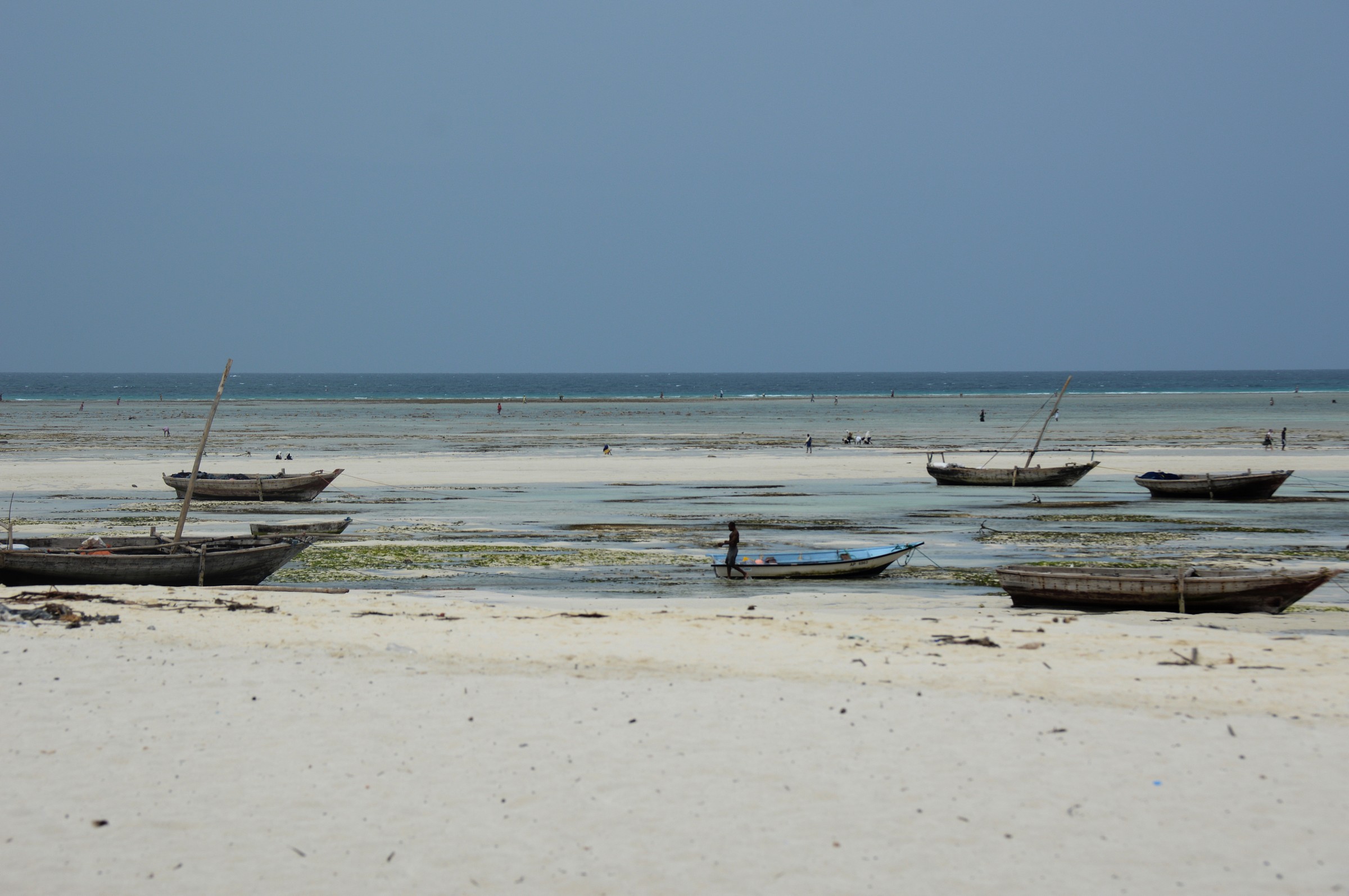Zanzibar: waiting for high tide.