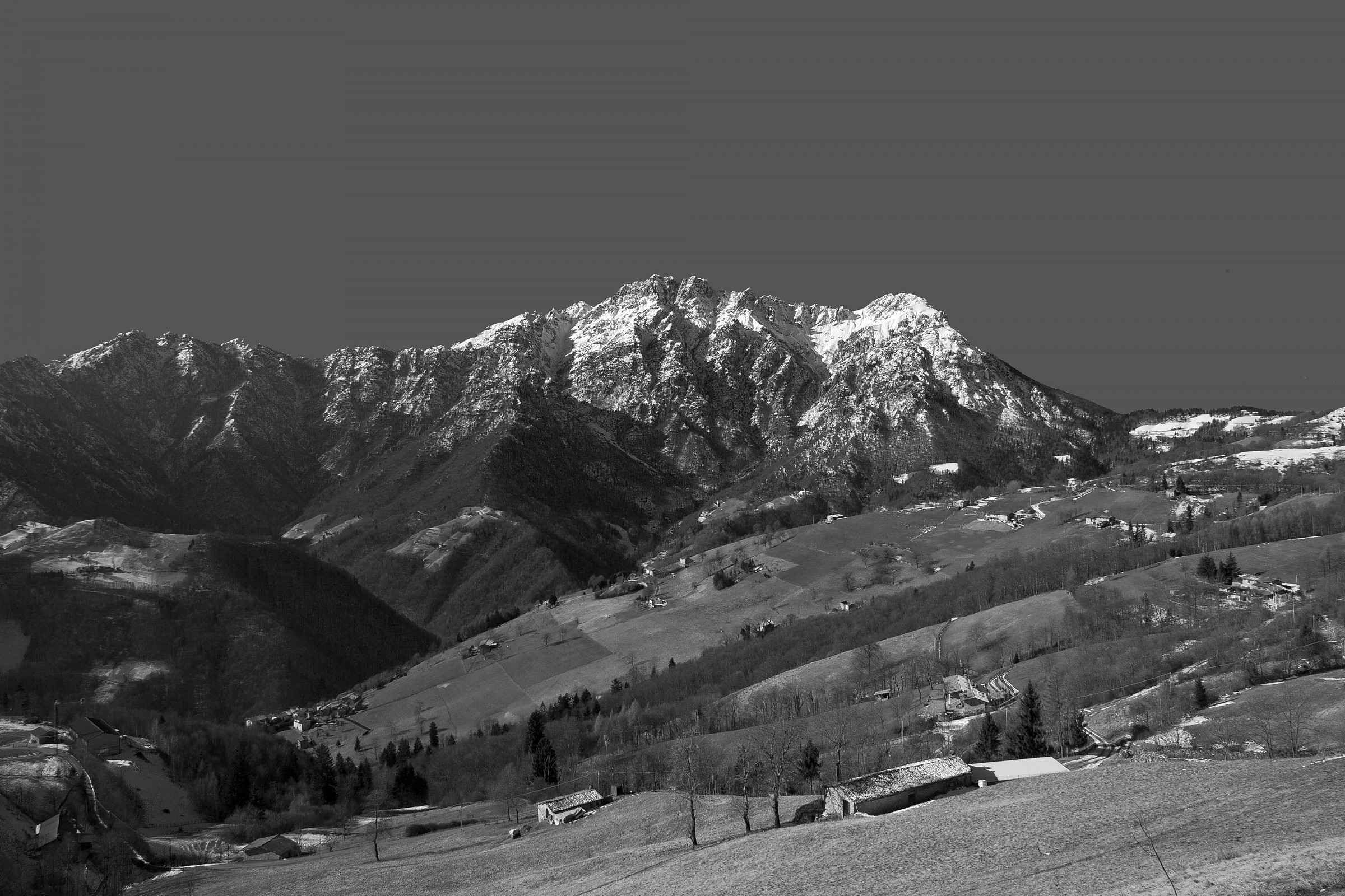 Alben in bianco e nero