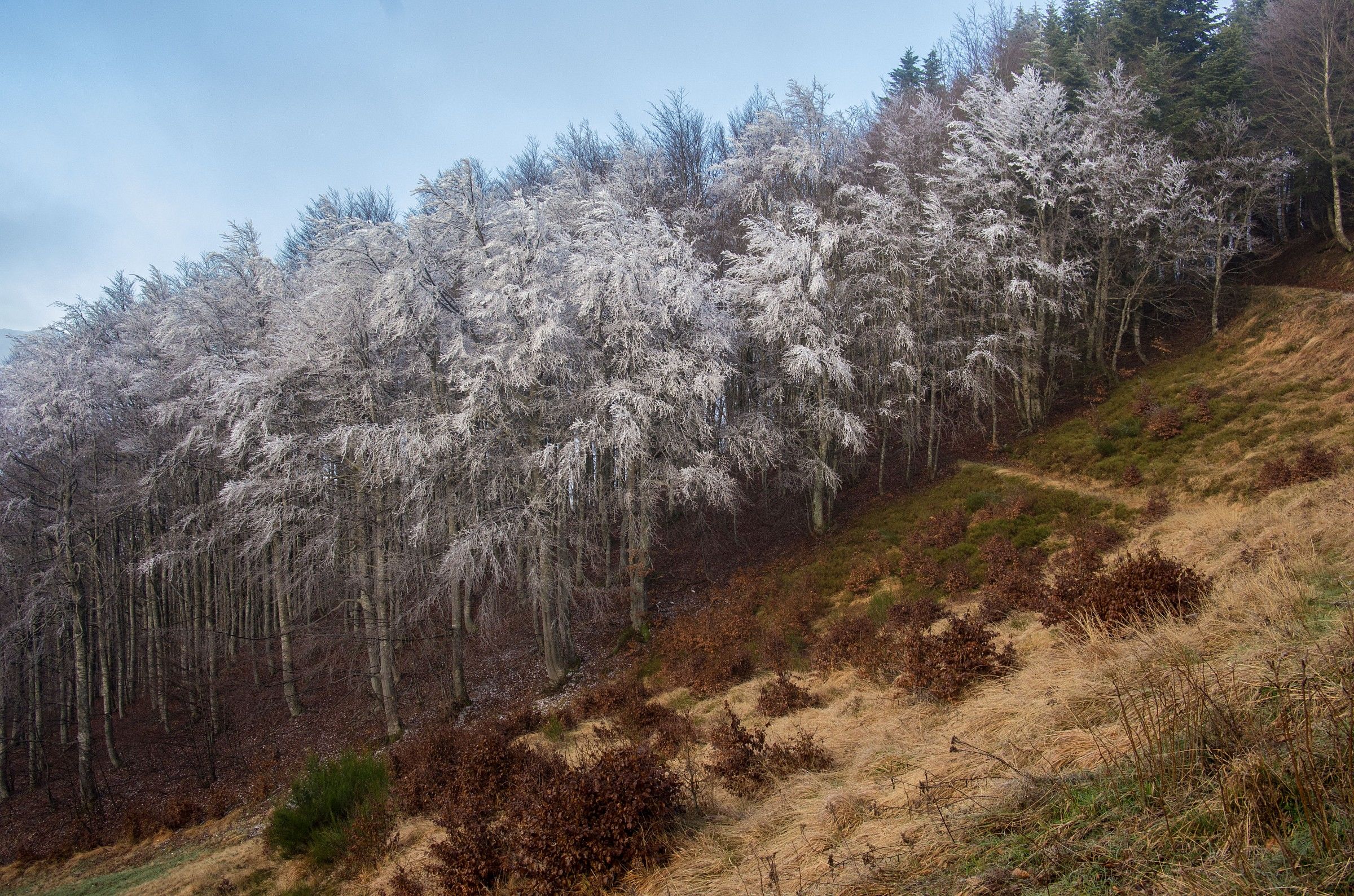 Autunno alla Doganaccia