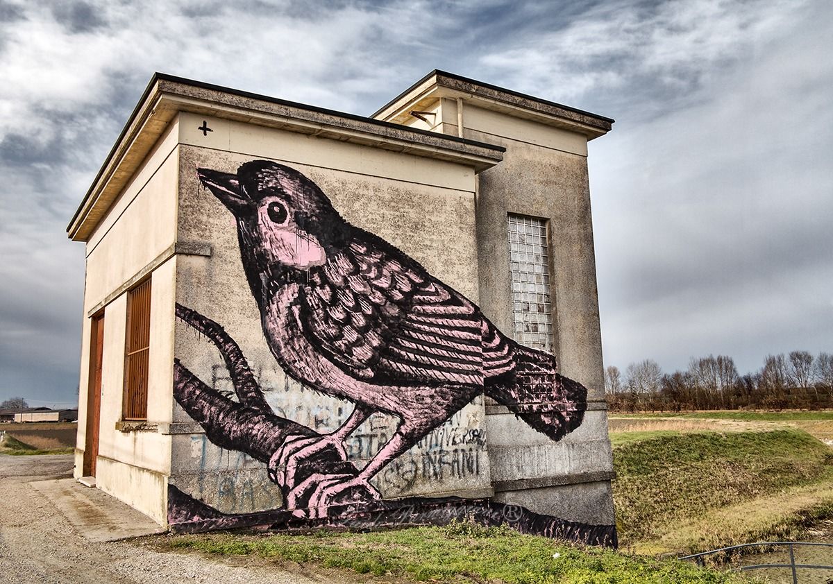 ... Between Lavezza and Conselice