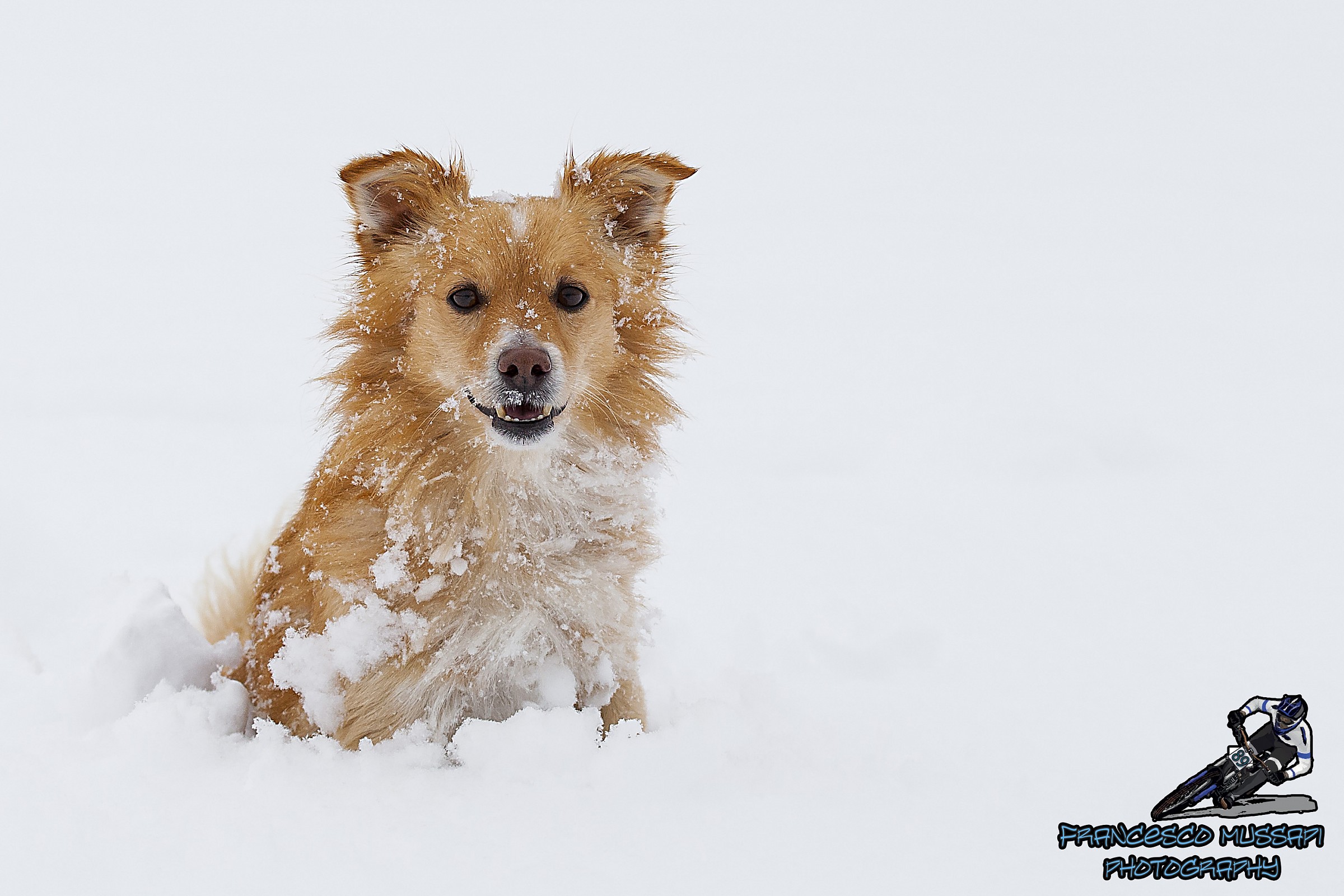 Happy in the Snow