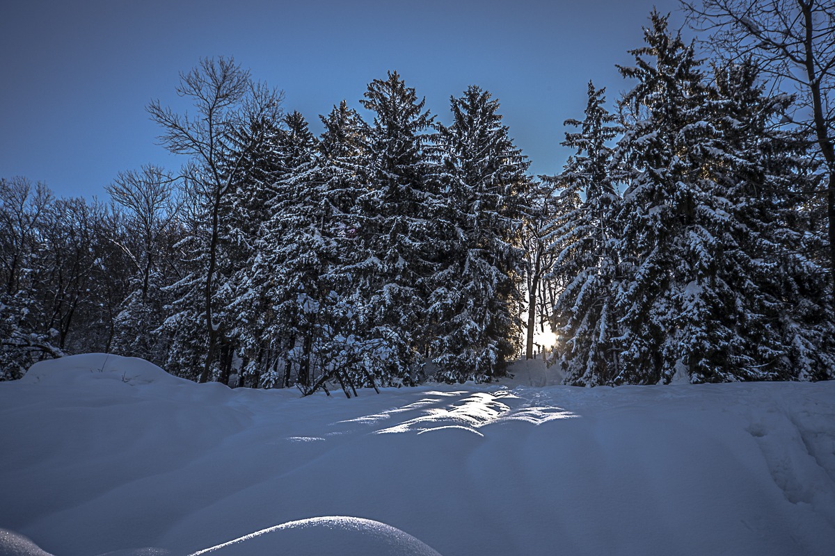 Alps? No Torino collina