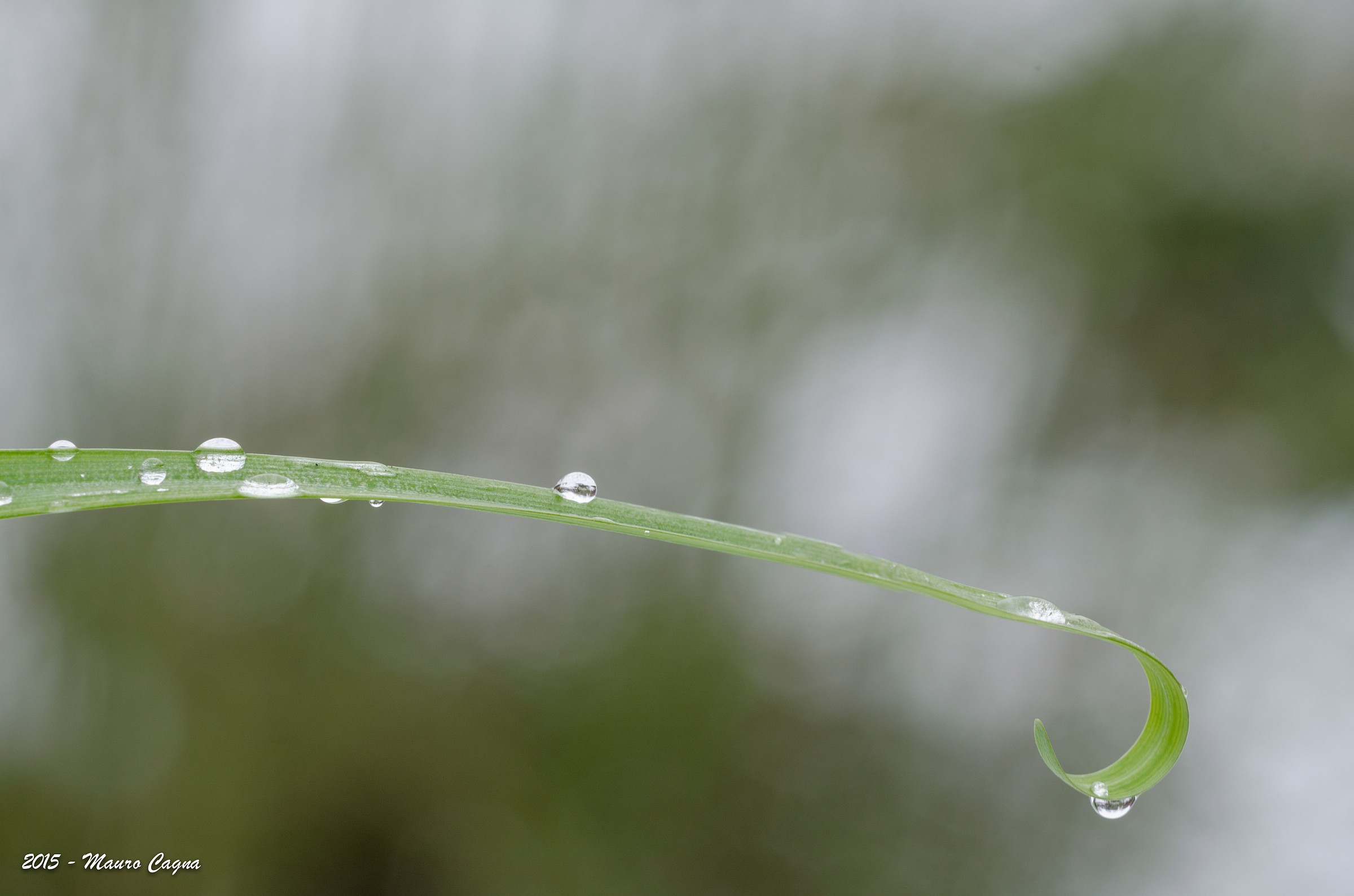 Plays with water and snow # 2