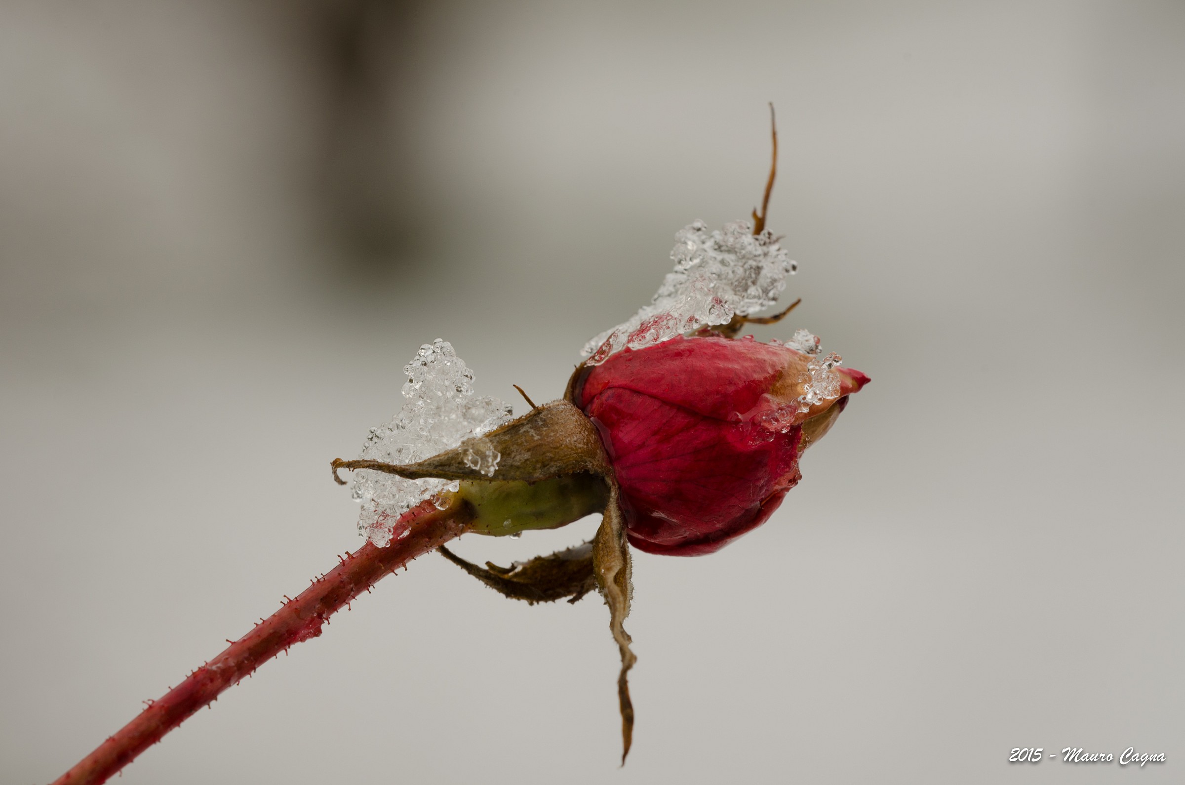 Plays with water and snow # 3