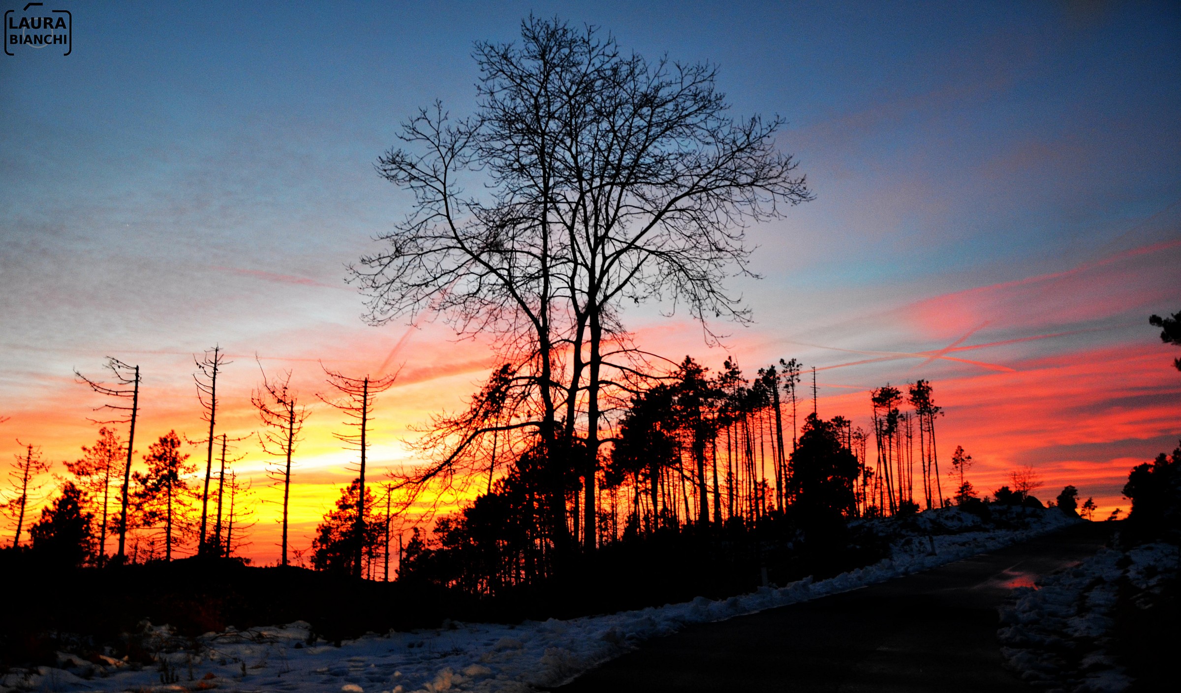 Controluci freddi innevati,  riscaldati dal tramonto