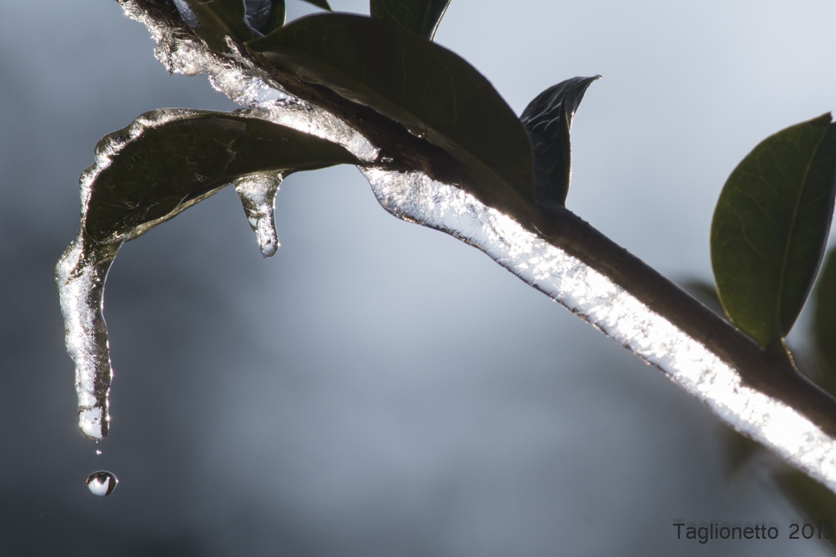 Rivestimento invernale