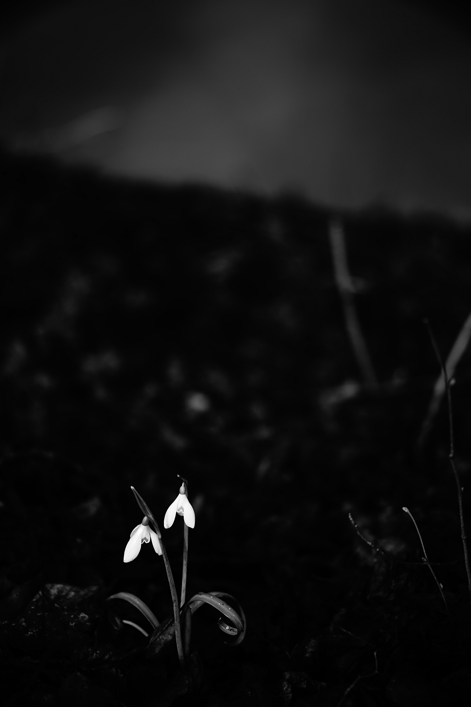 in due... non si è mai soli...