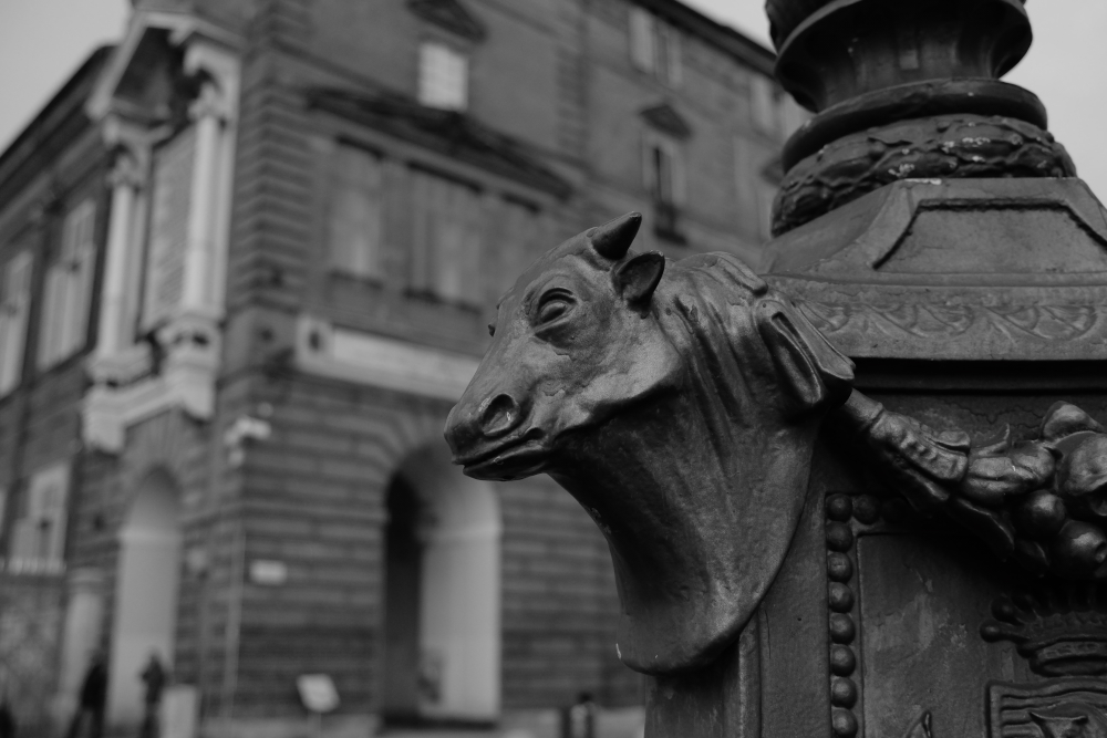 guarding the royal loggia