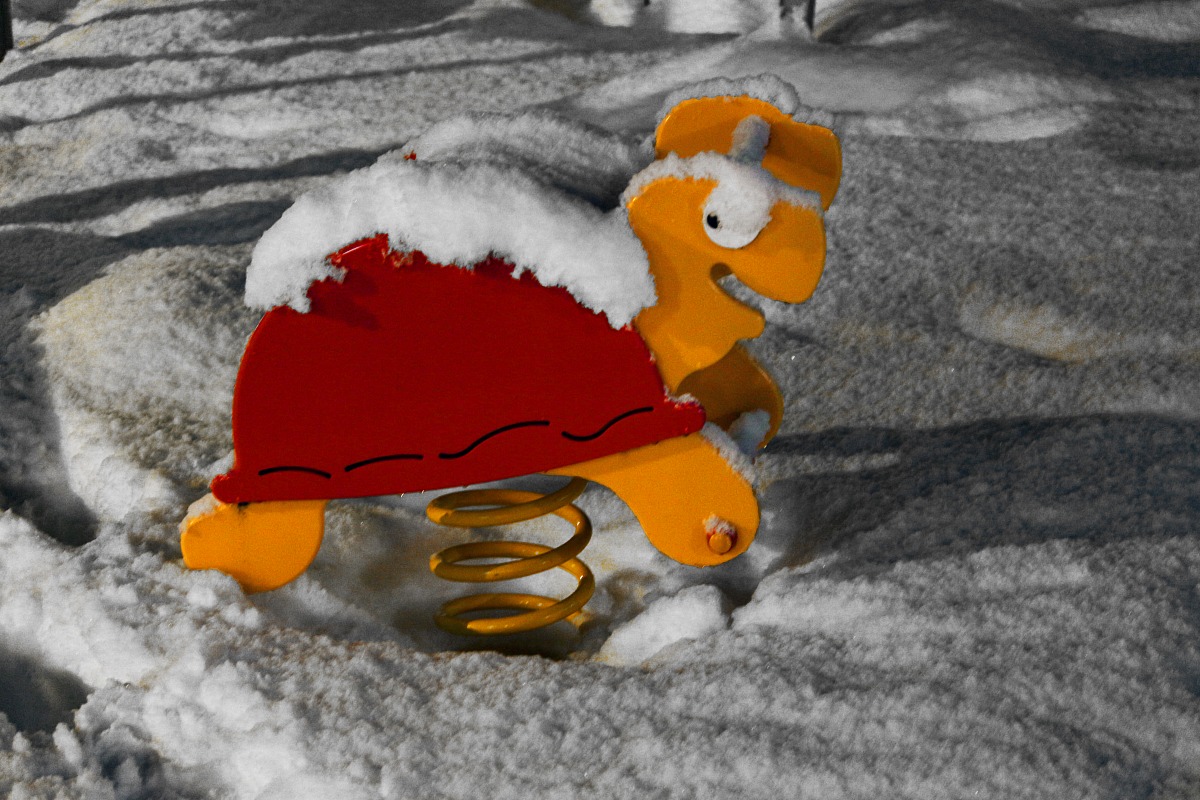 Agli animali piace giocare(mi date consigli x neve?)