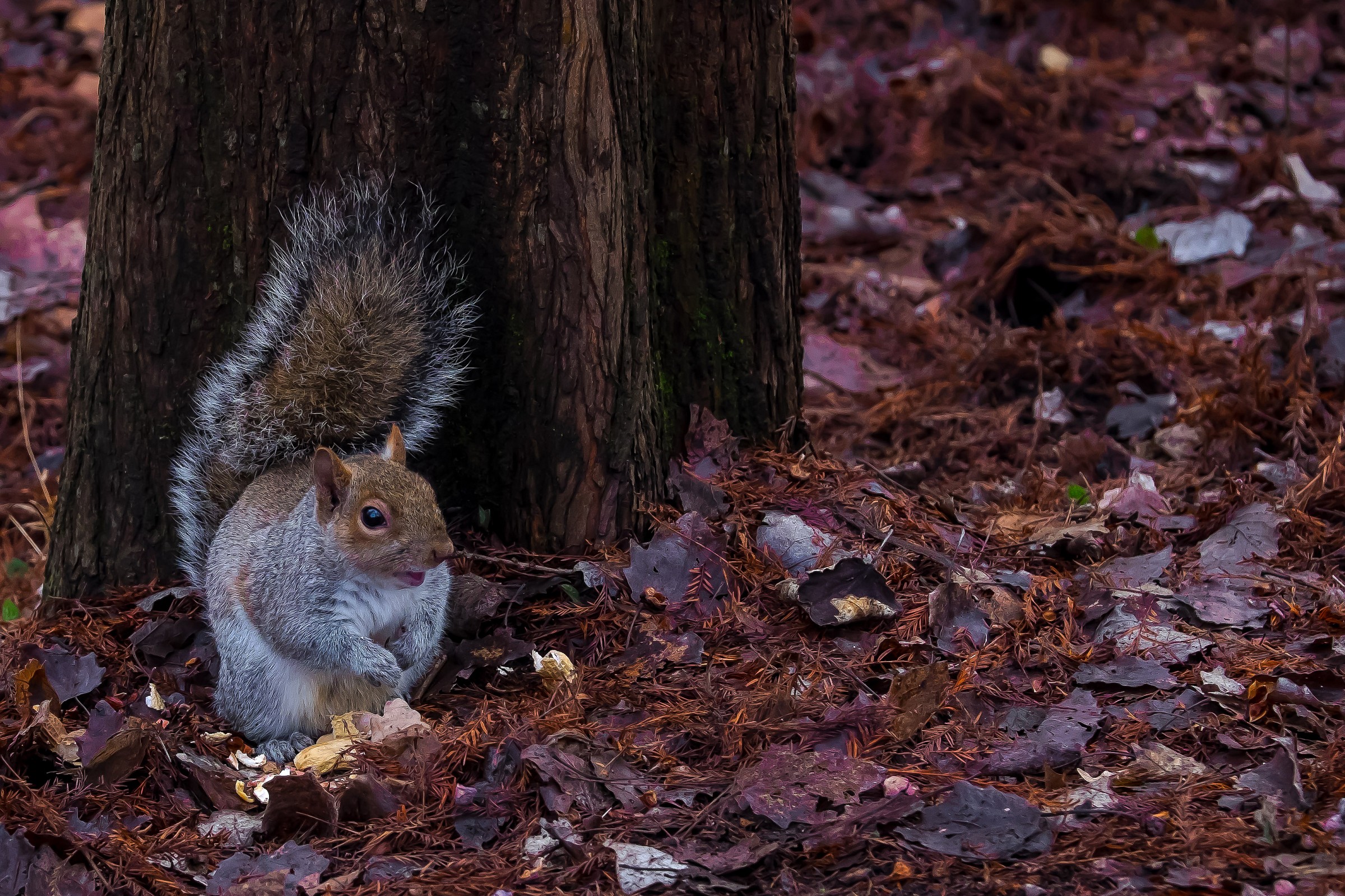 hello my name is ........