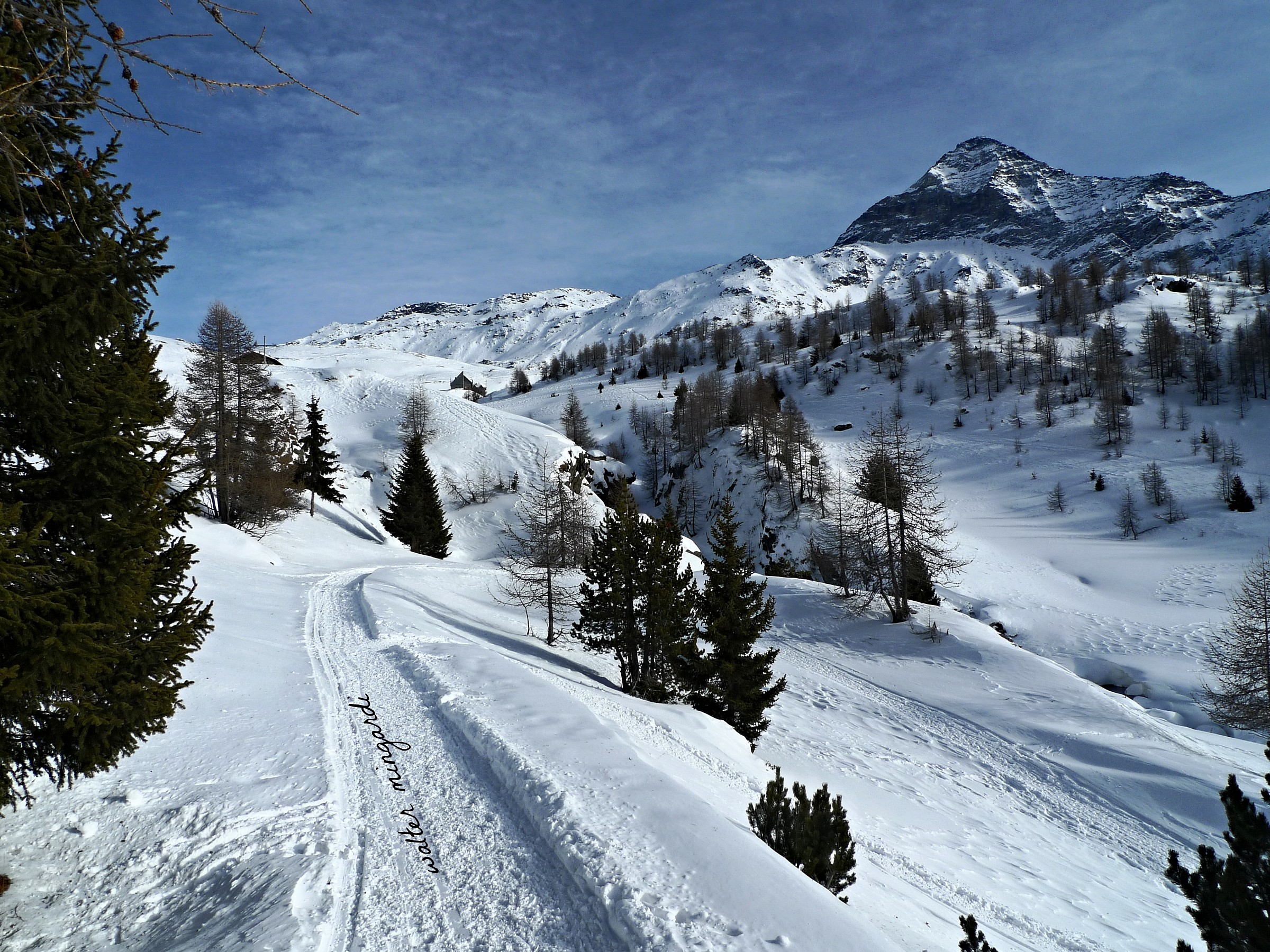 valmalenco Campagneda