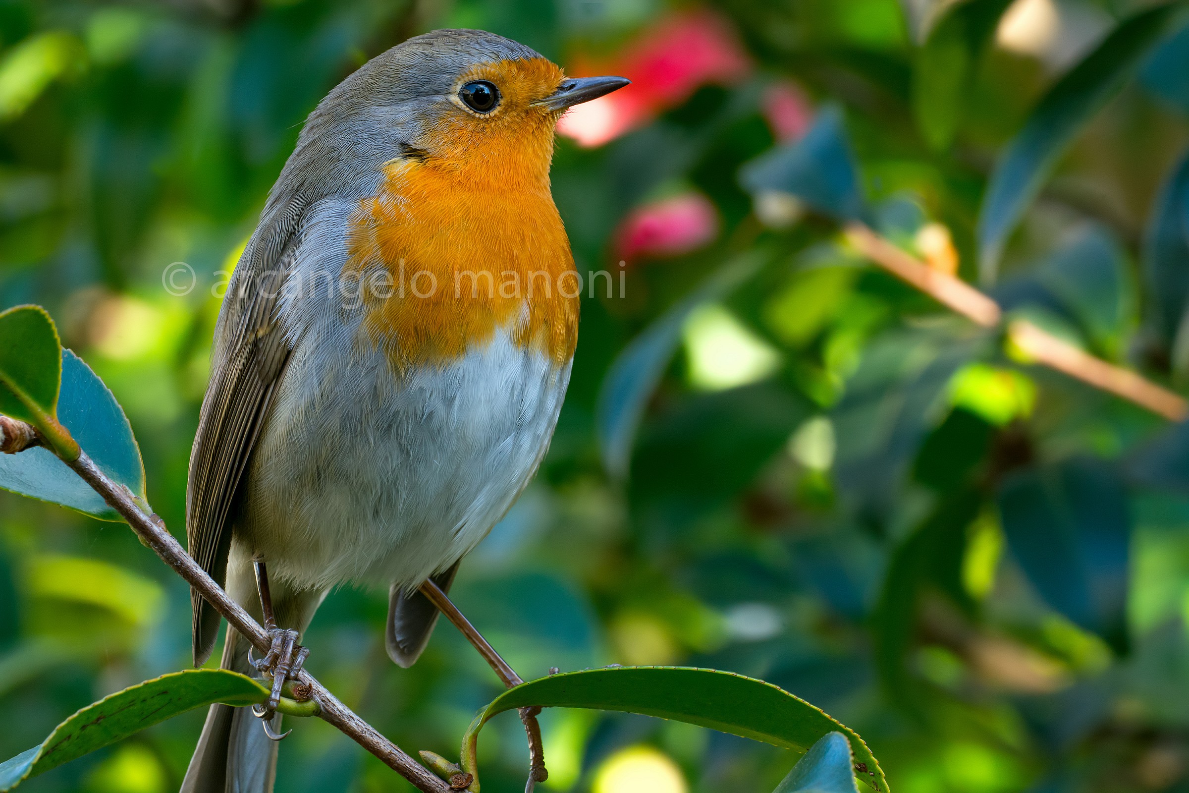 What I did not get bored