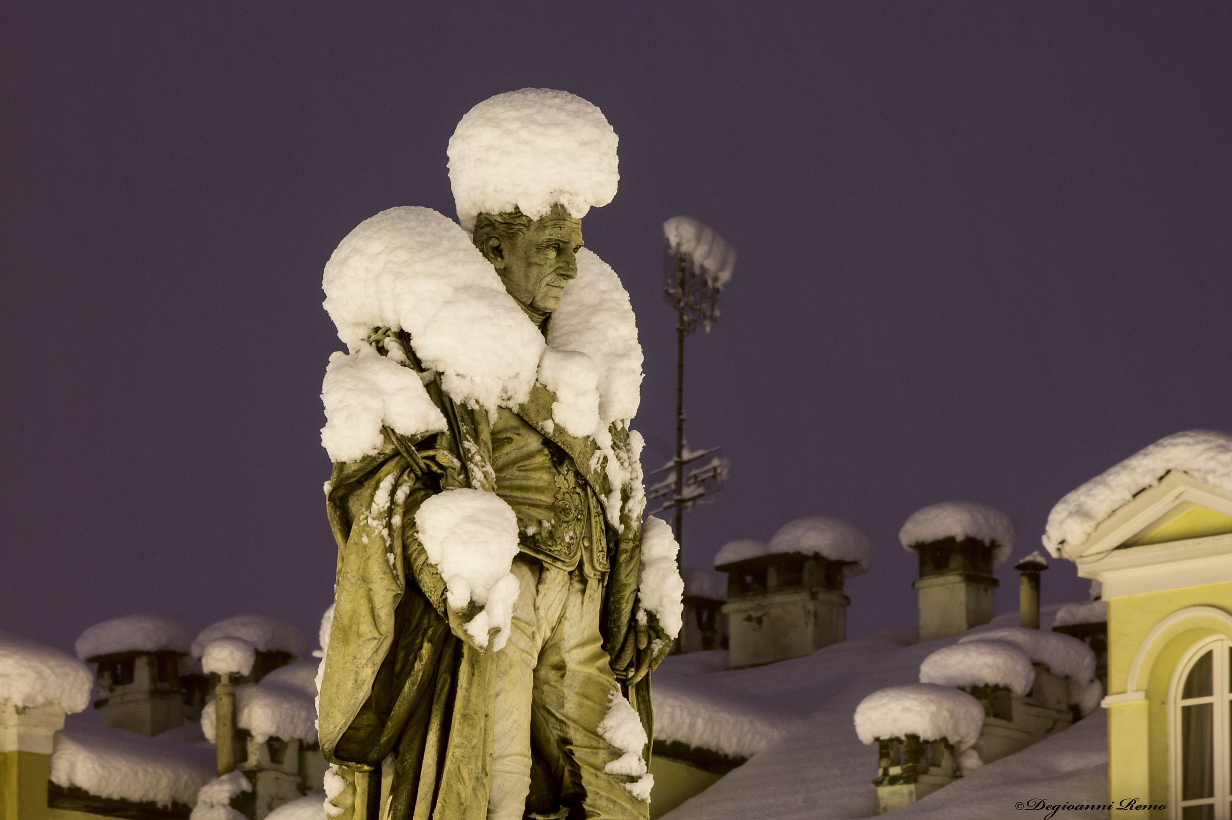 Barbaroux ermine dress