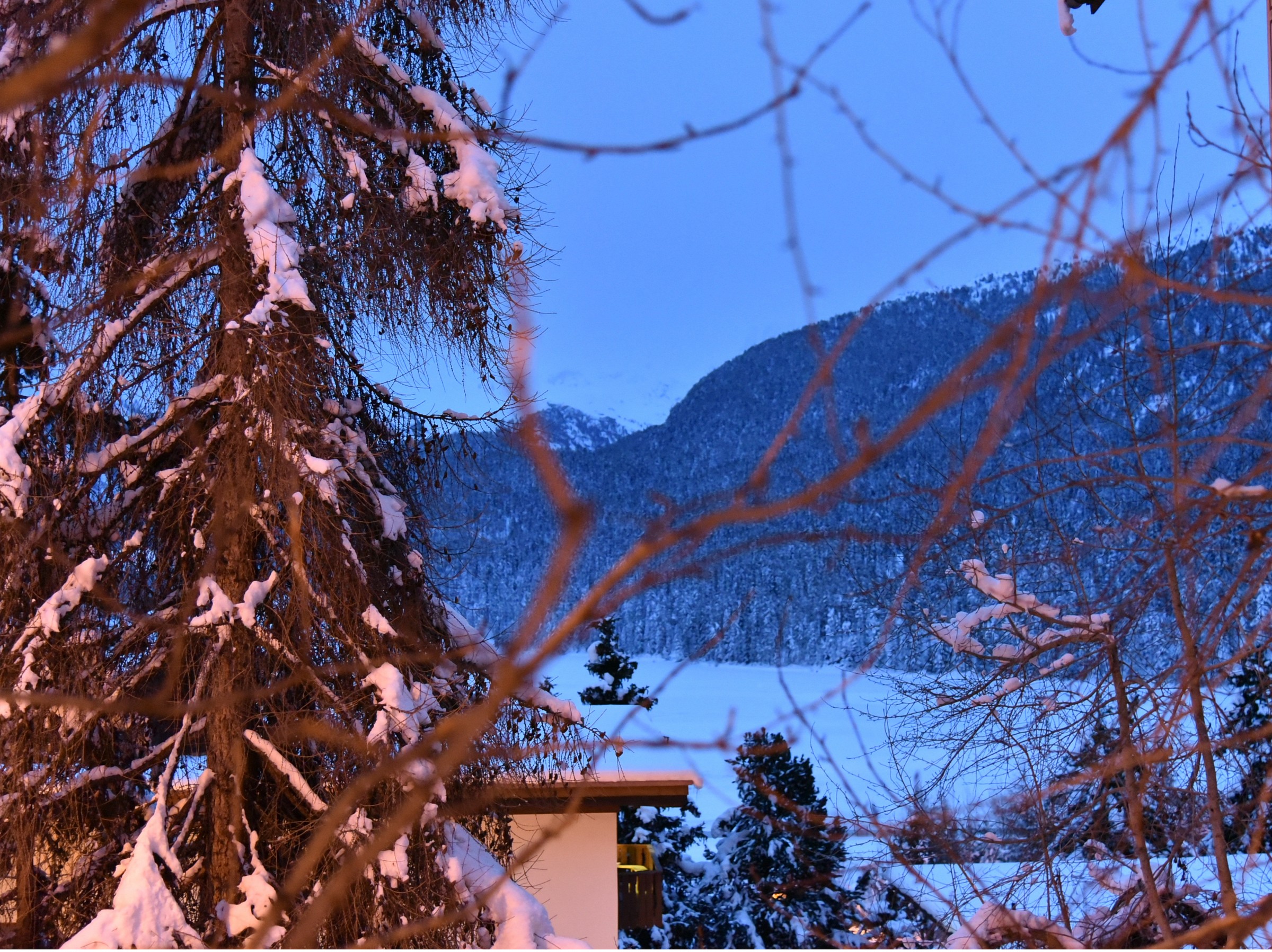 4 - sbirciando dalla strada