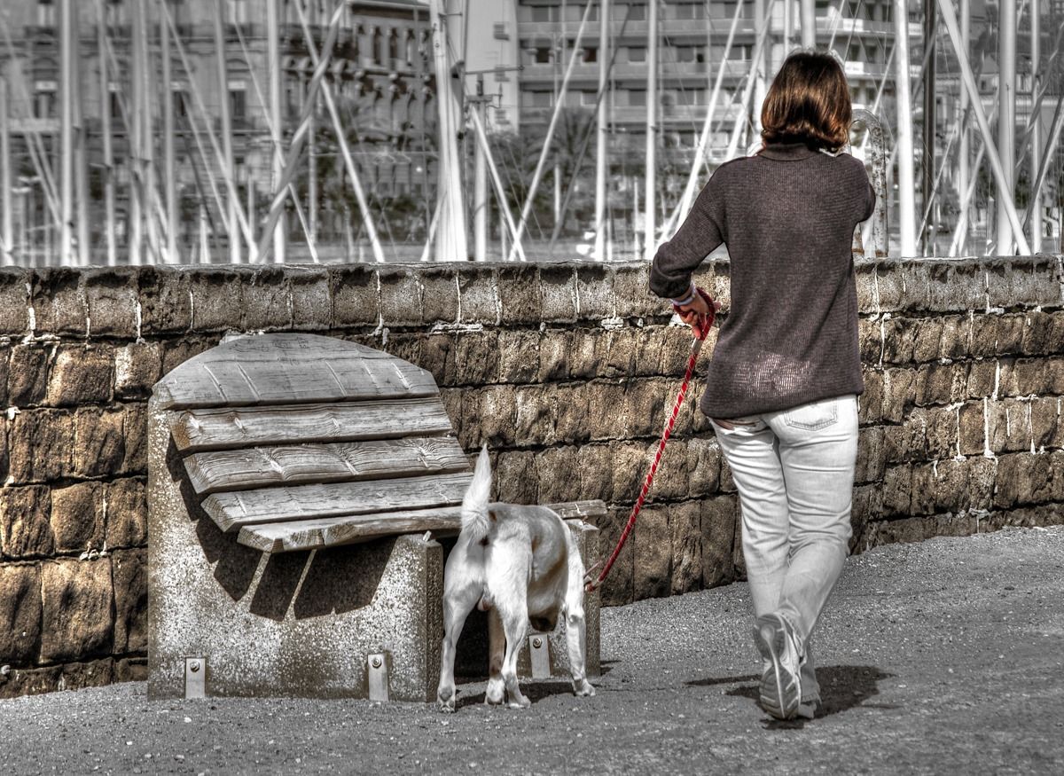 Walking, or everyone shows what he can.