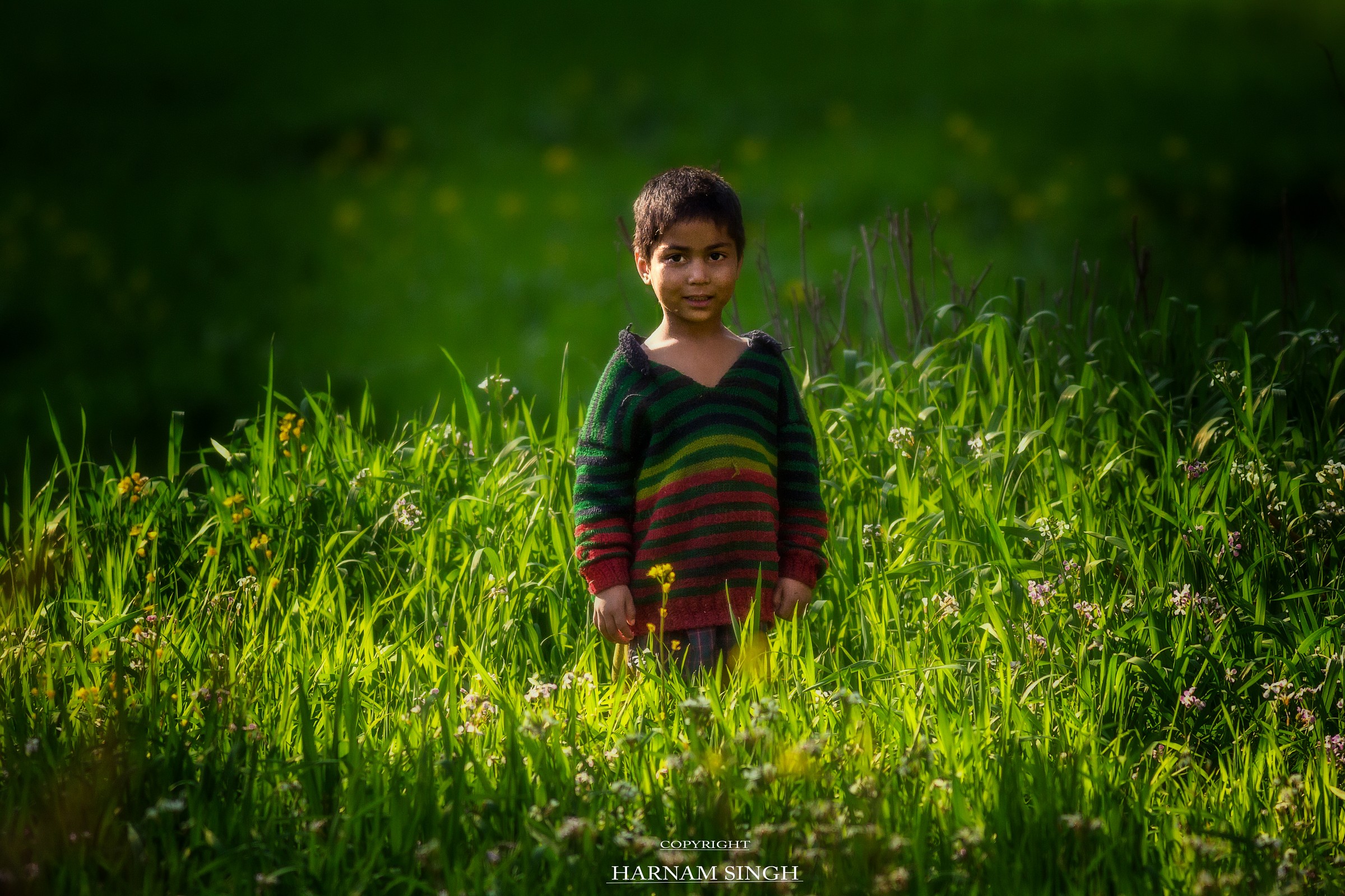 Stile di vita in Himachal