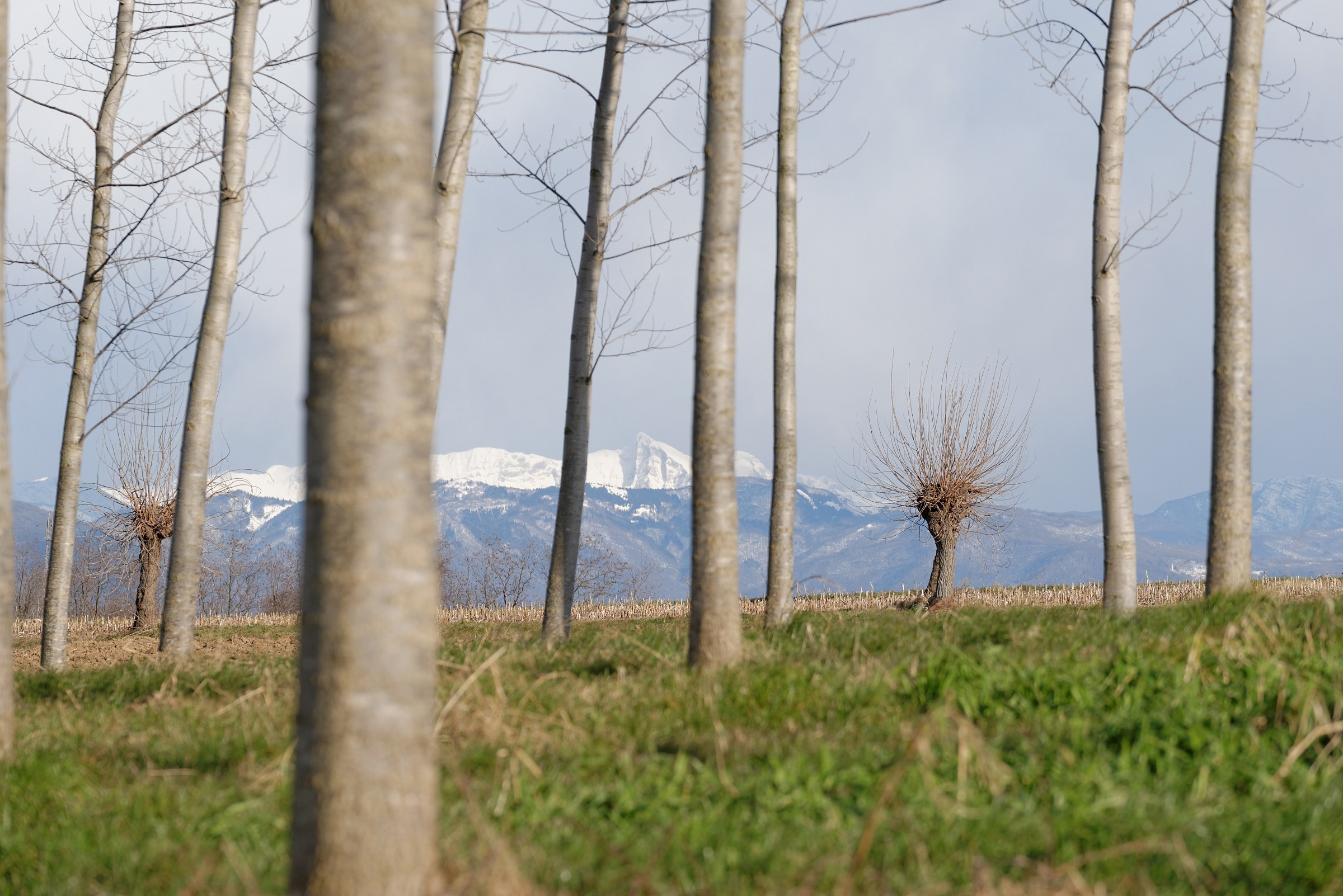 To Mount Black (Krn)