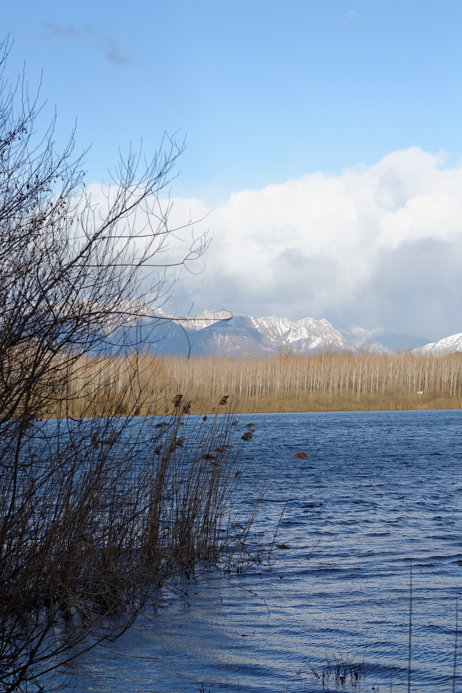 Lake San Daniele (Udine)