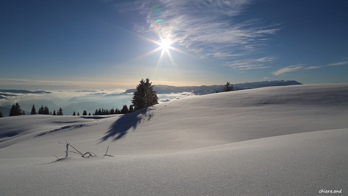 Il silenzio della neve