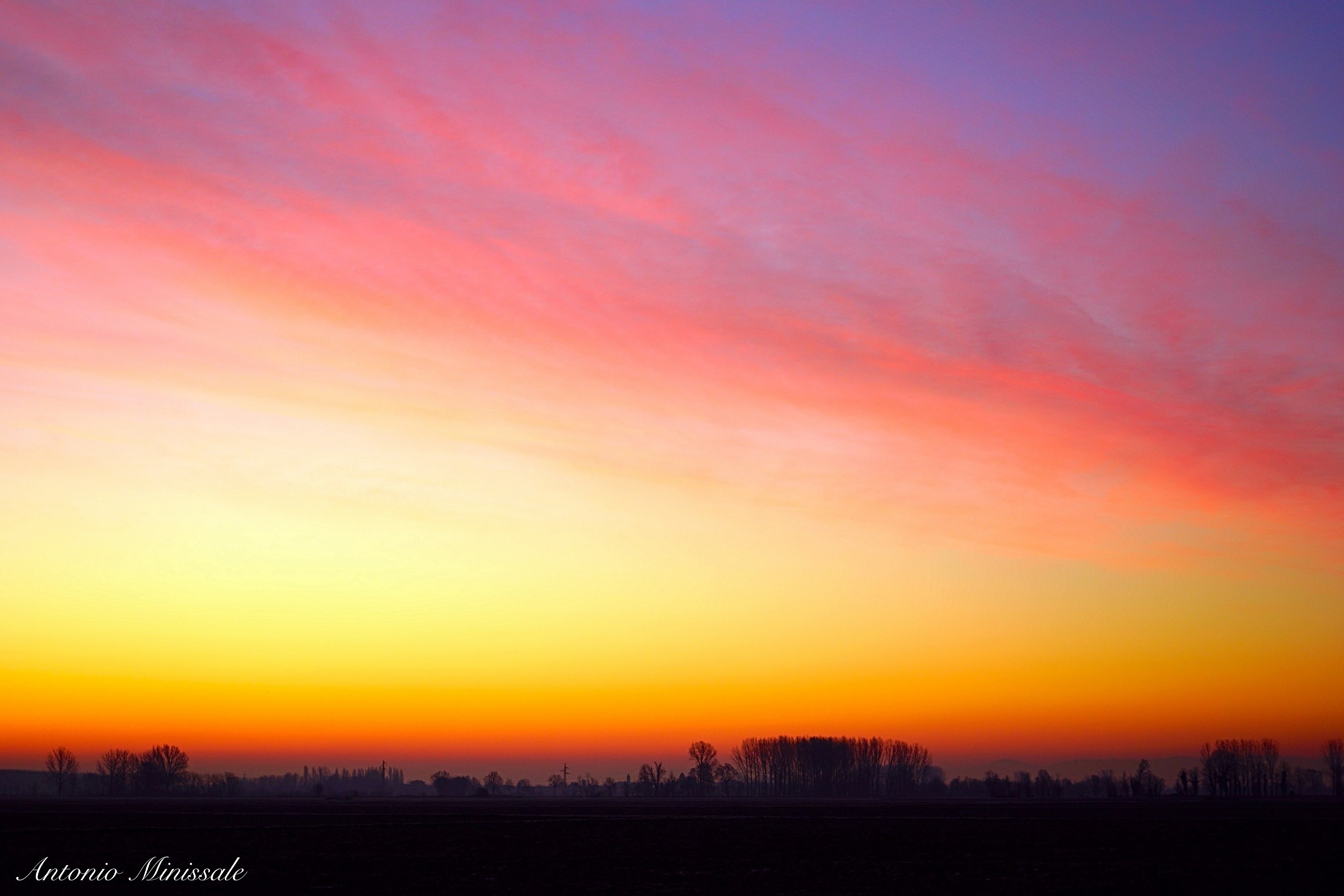 L'alba nella campagna pavese