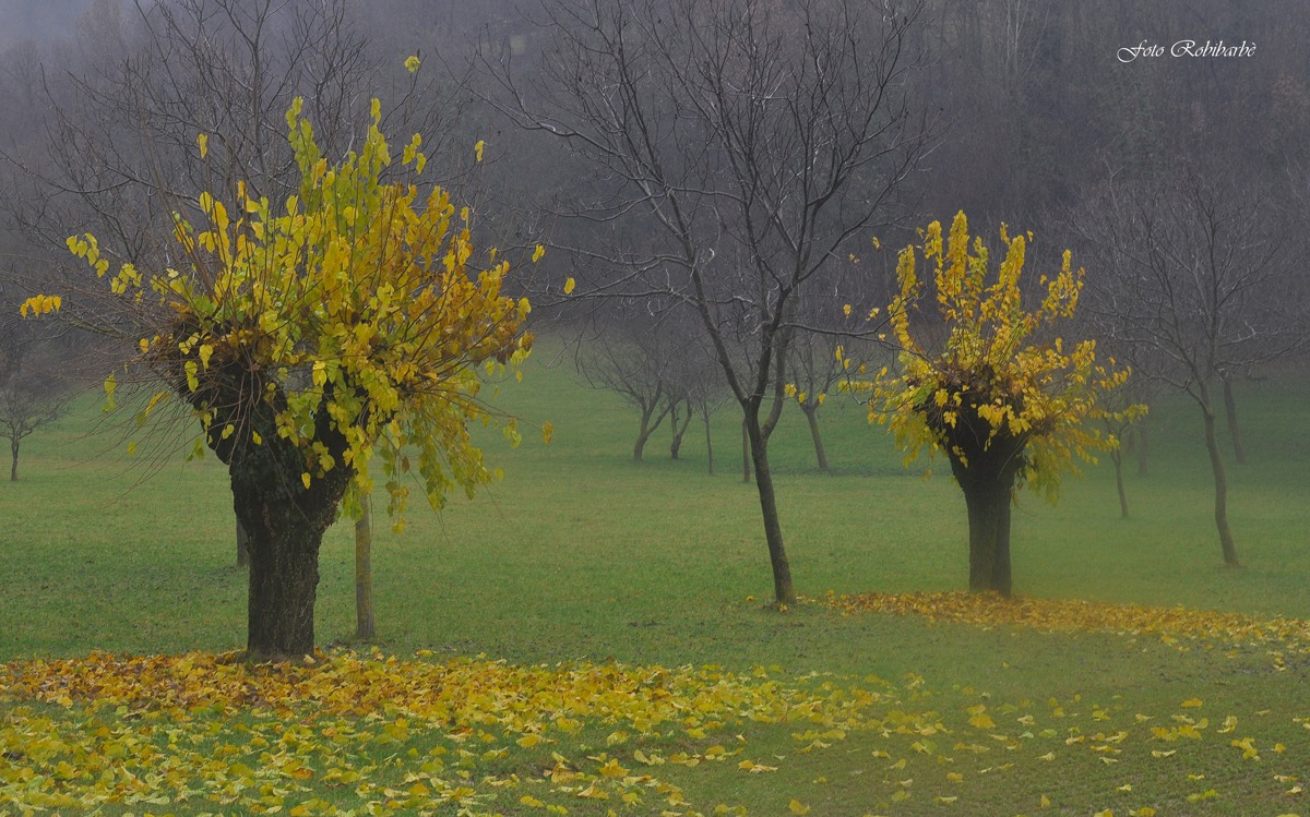 Scende il silenzio....