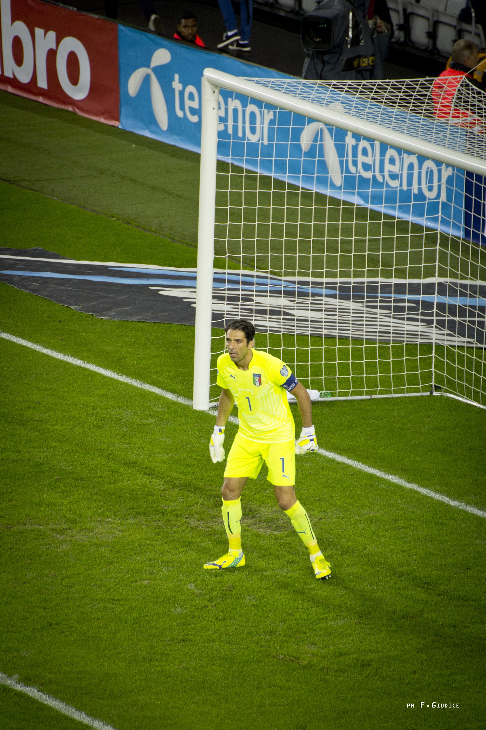 Novegia-Italy, Euro 2016 qualifiers