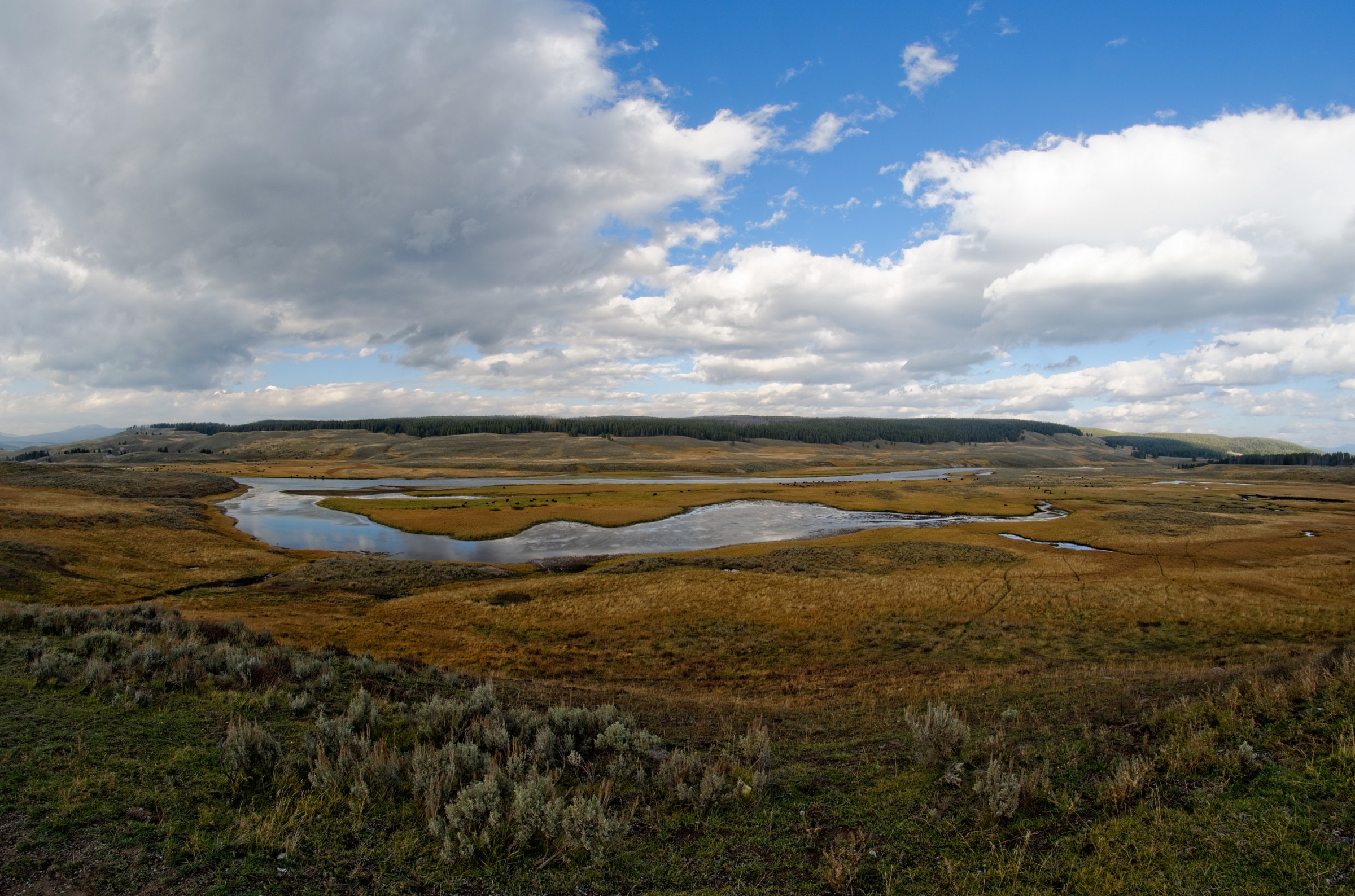 Yellowstone lanscape