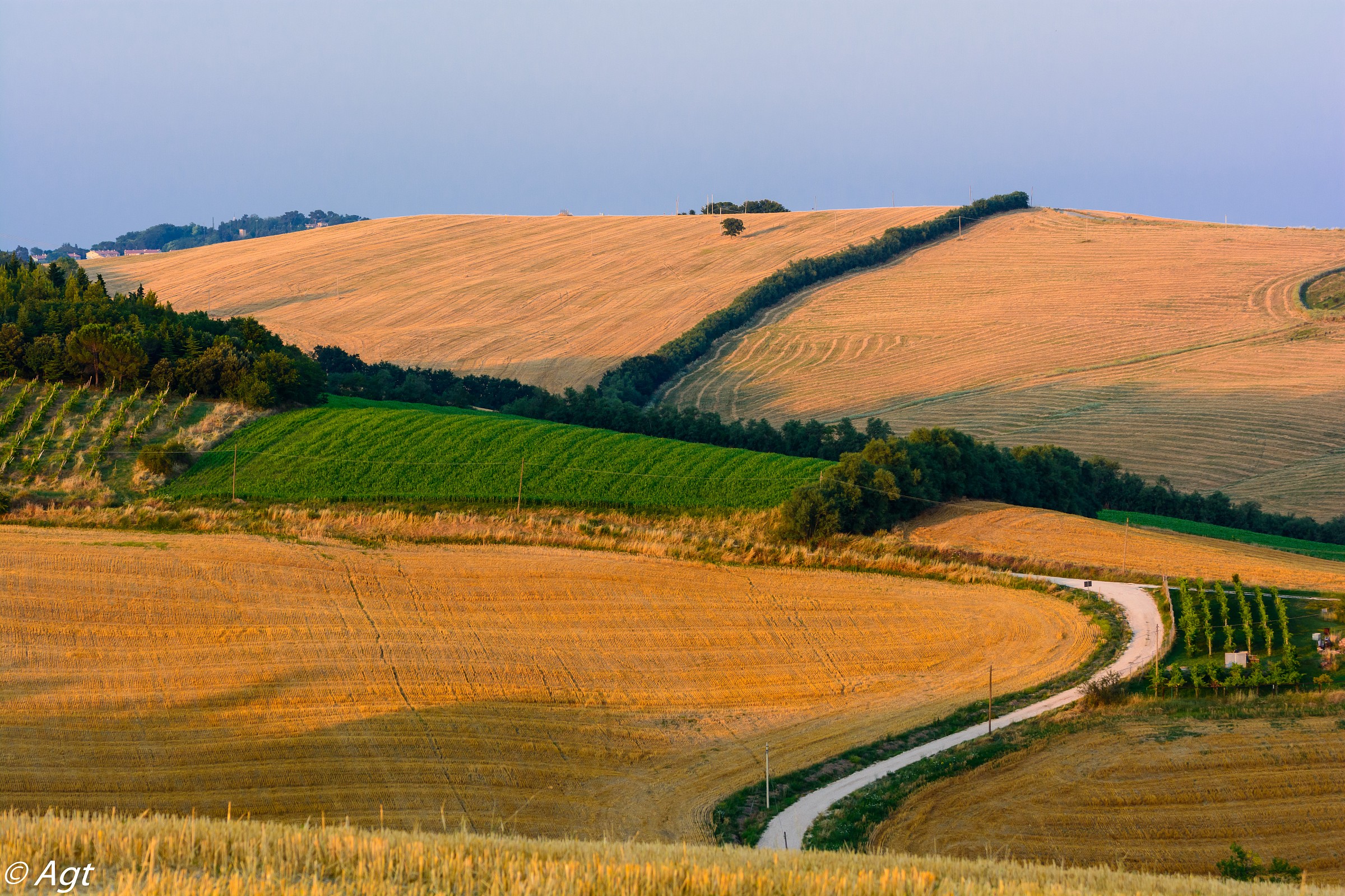 la strada fra le colline