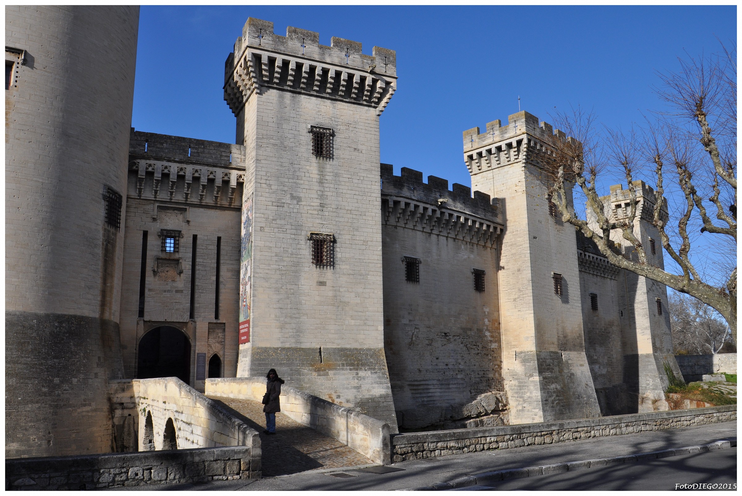 Tarascon, il castello