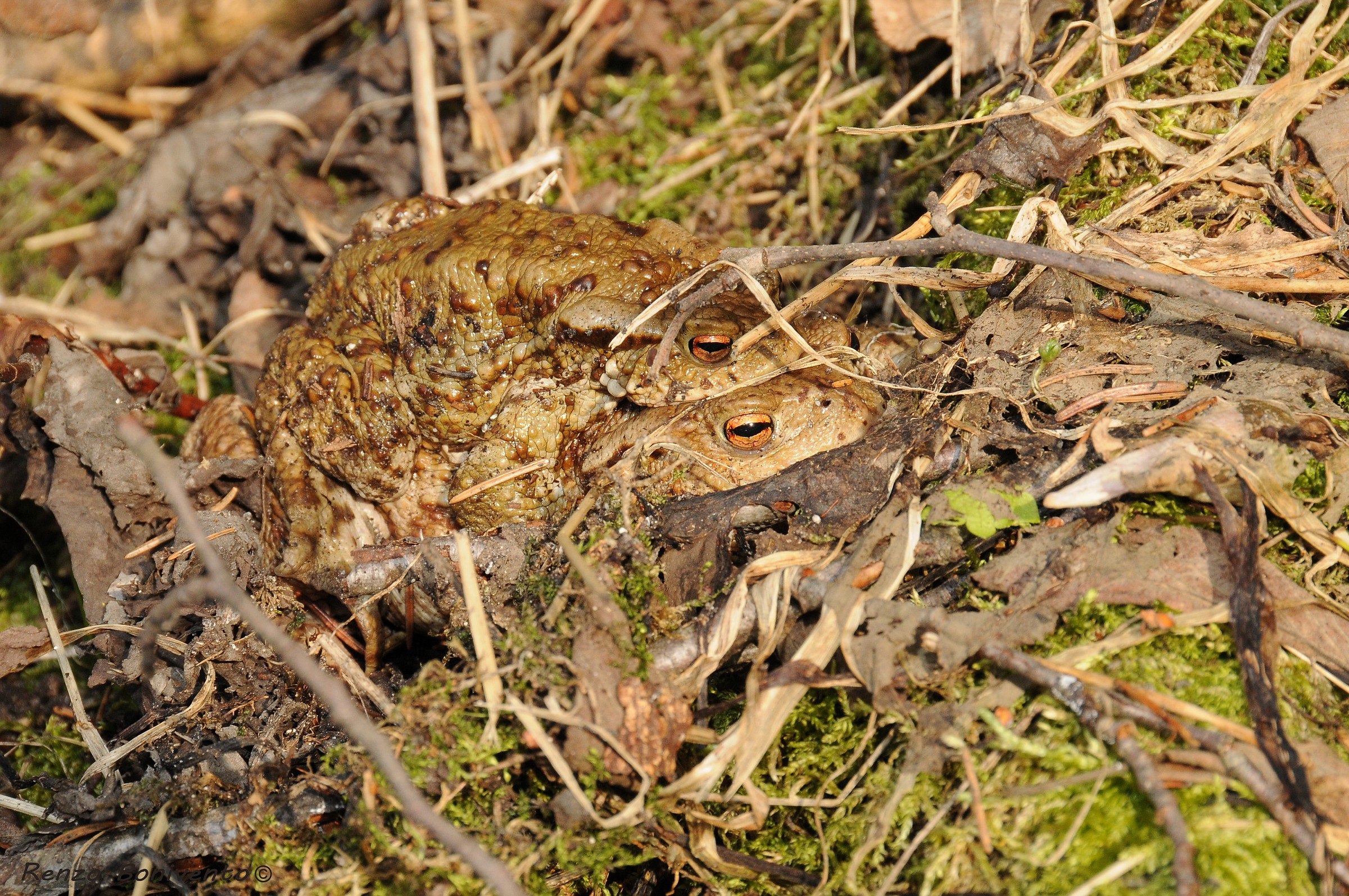 Alla faccia della privacy...