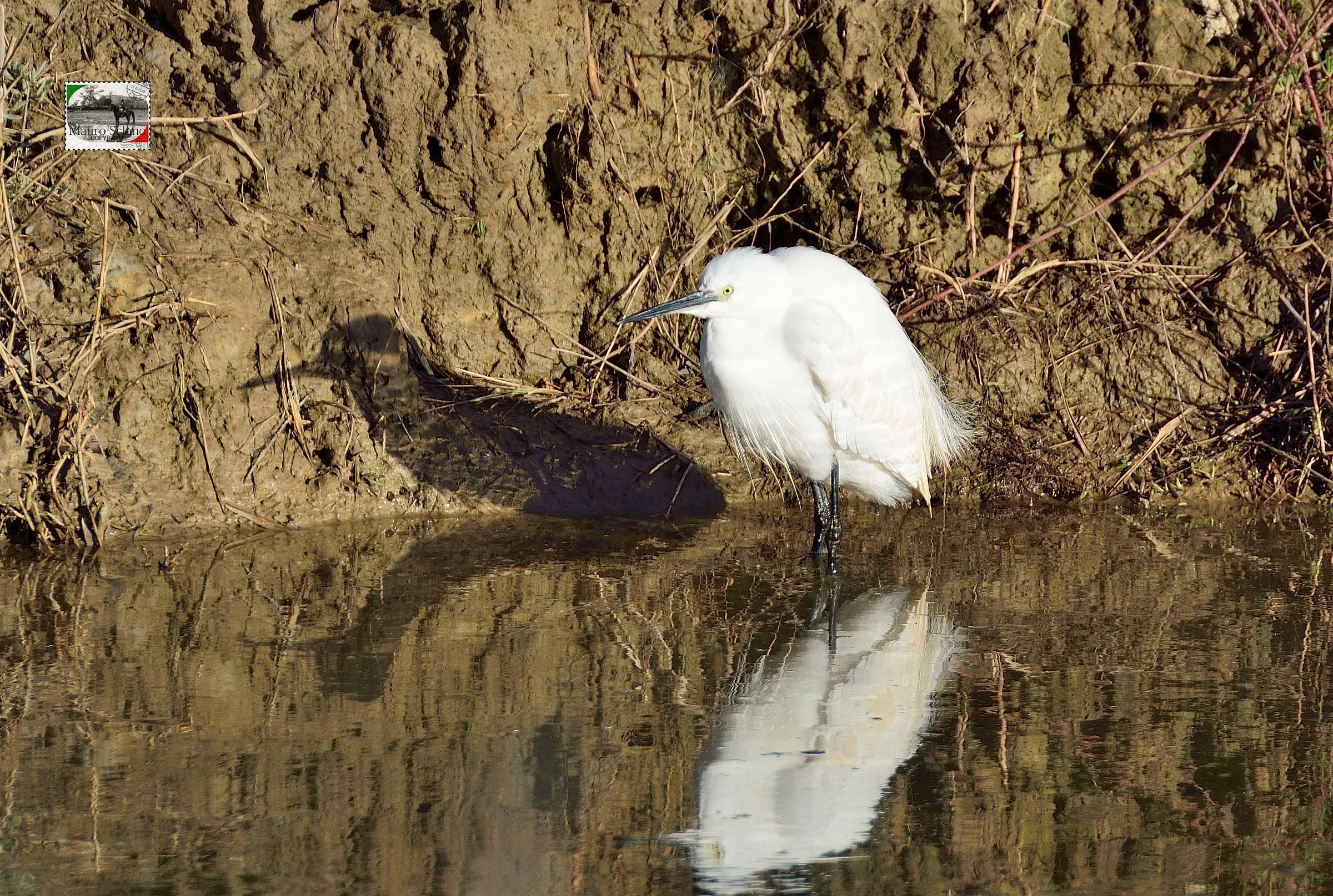 un riflesso e due ombre