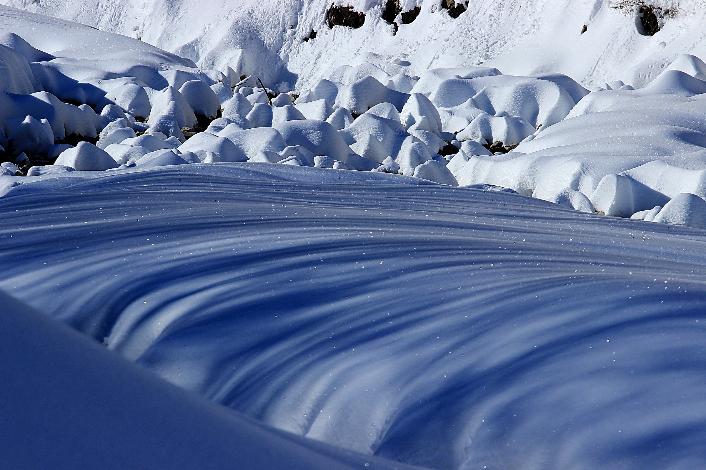 I colori dell'inverno...