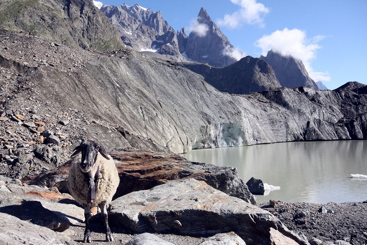 Lake Miage and Aiguille Noire img_6913