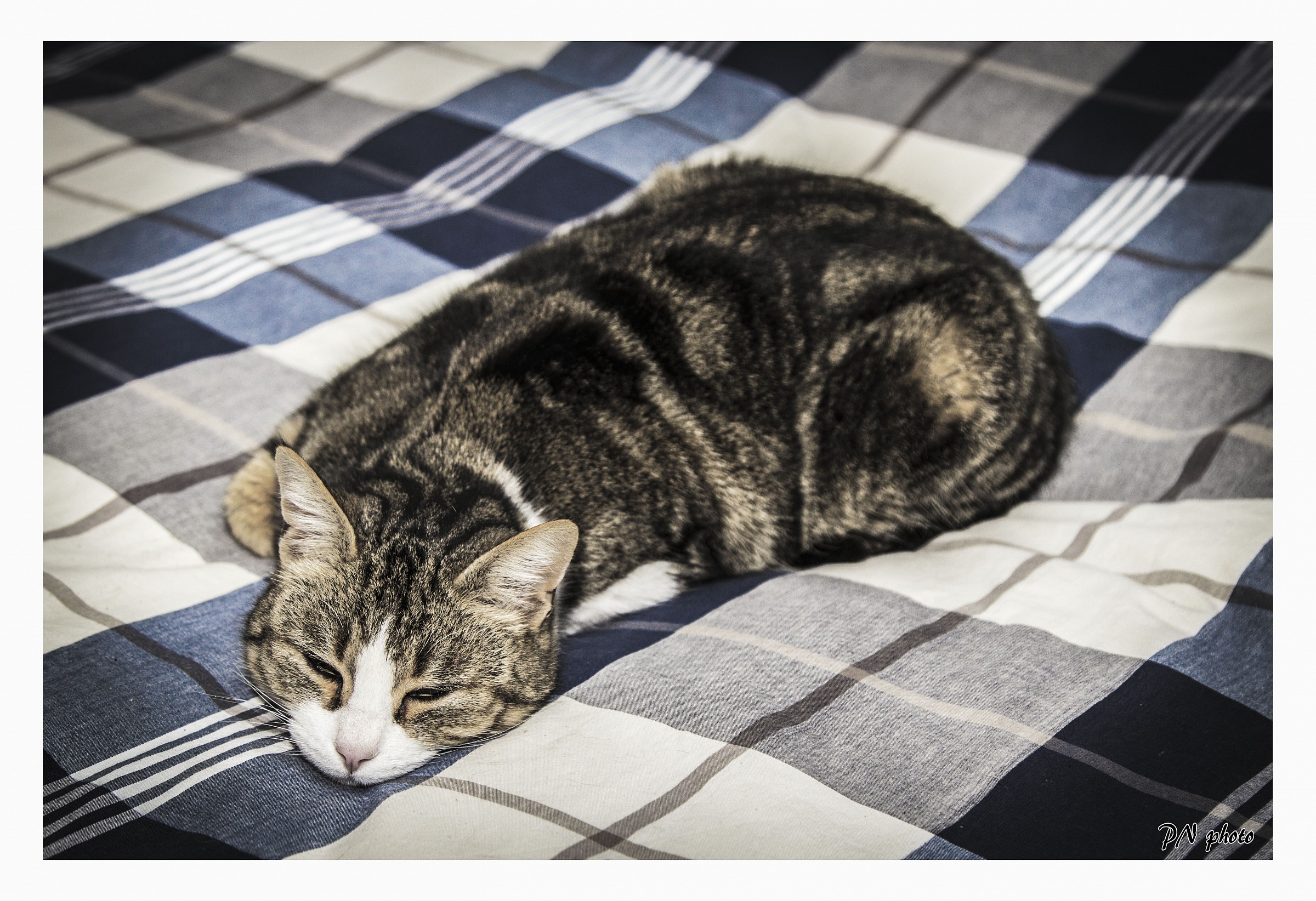 Let me sleep .. please ..