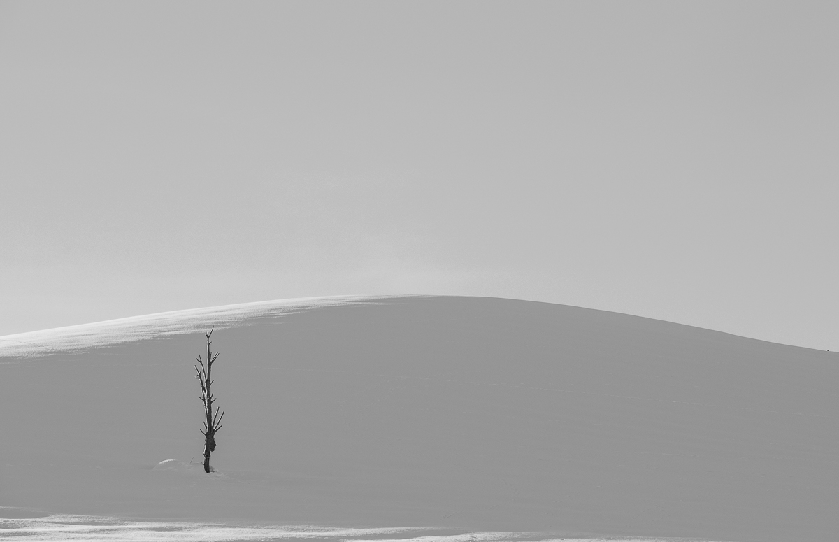 alone in the cold (version b & w)