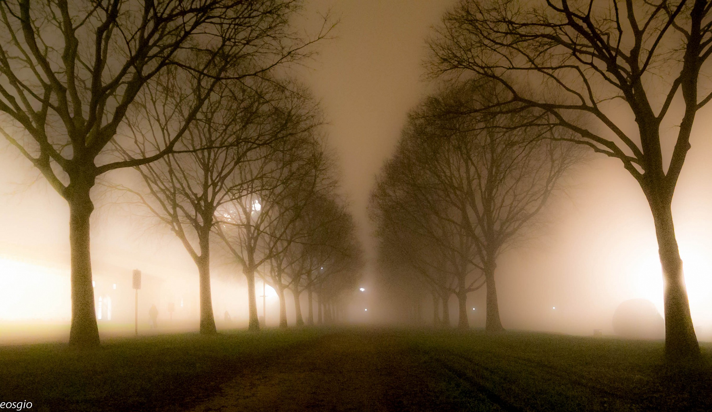 Park In The Fog