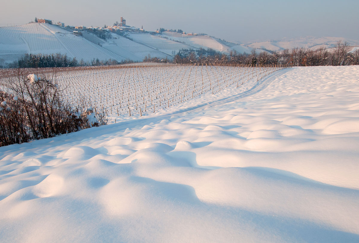 Serralunga d'Alba (Langhe)