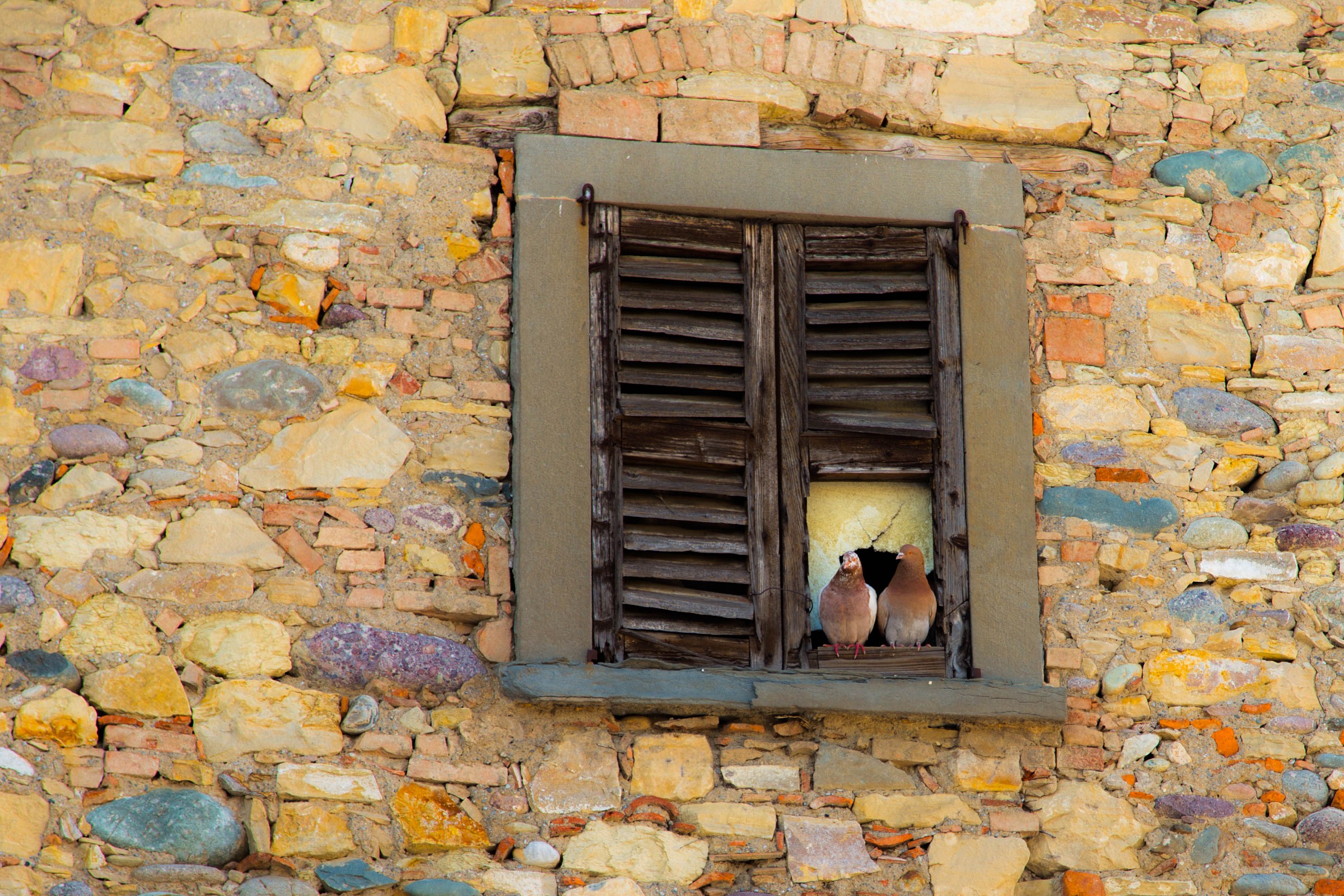 we'll always be together