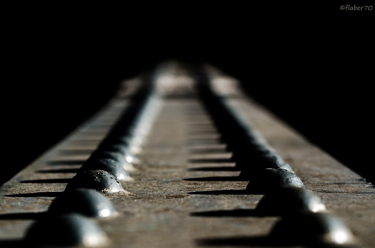 :::::::::::::::::::::::